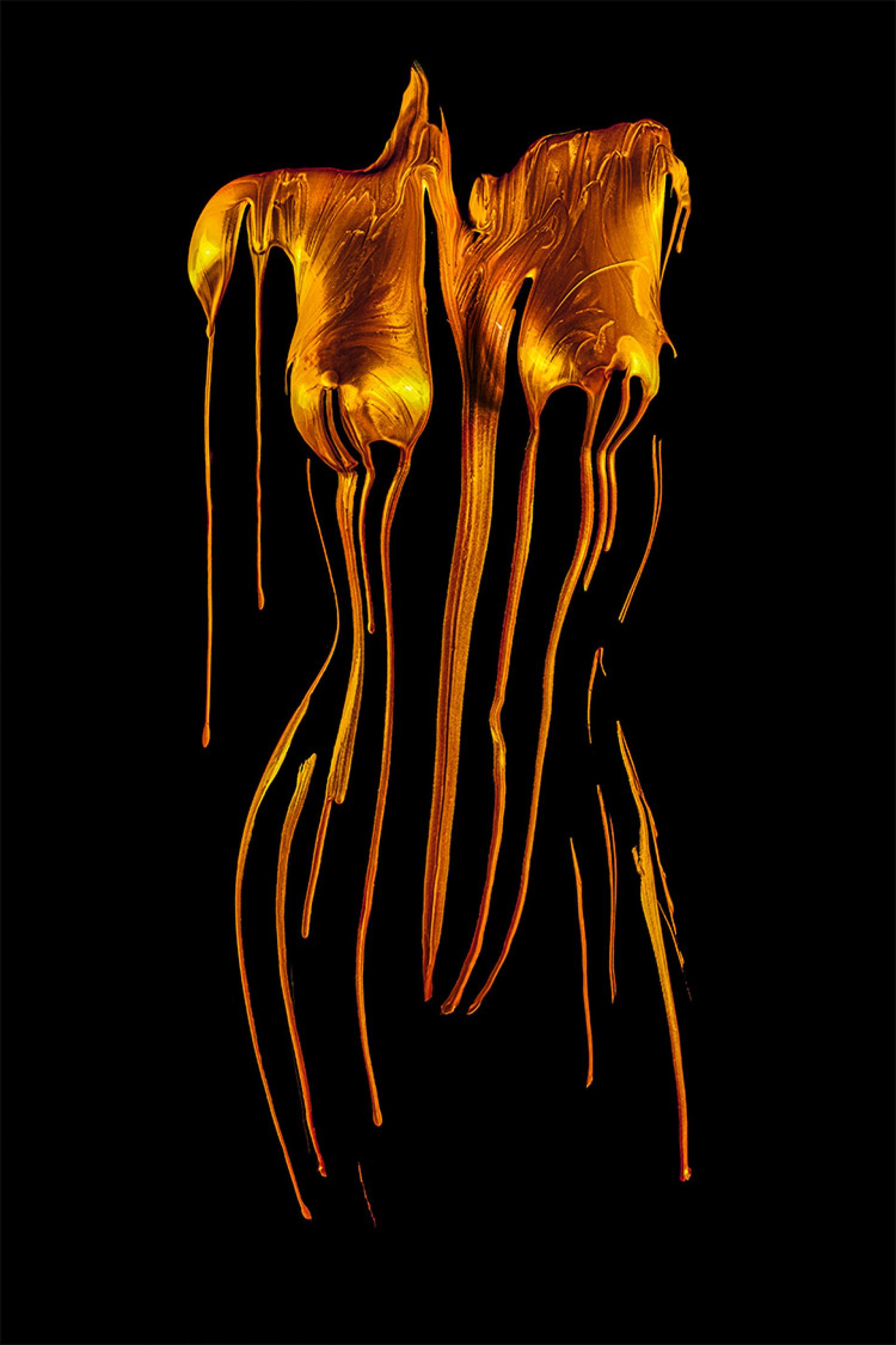 Global Photography Awards Winner - Beauty cast in gold