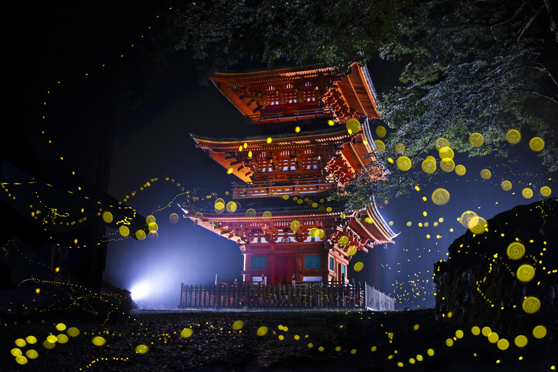 Global Photography Awards Winner - Dreamy firefly