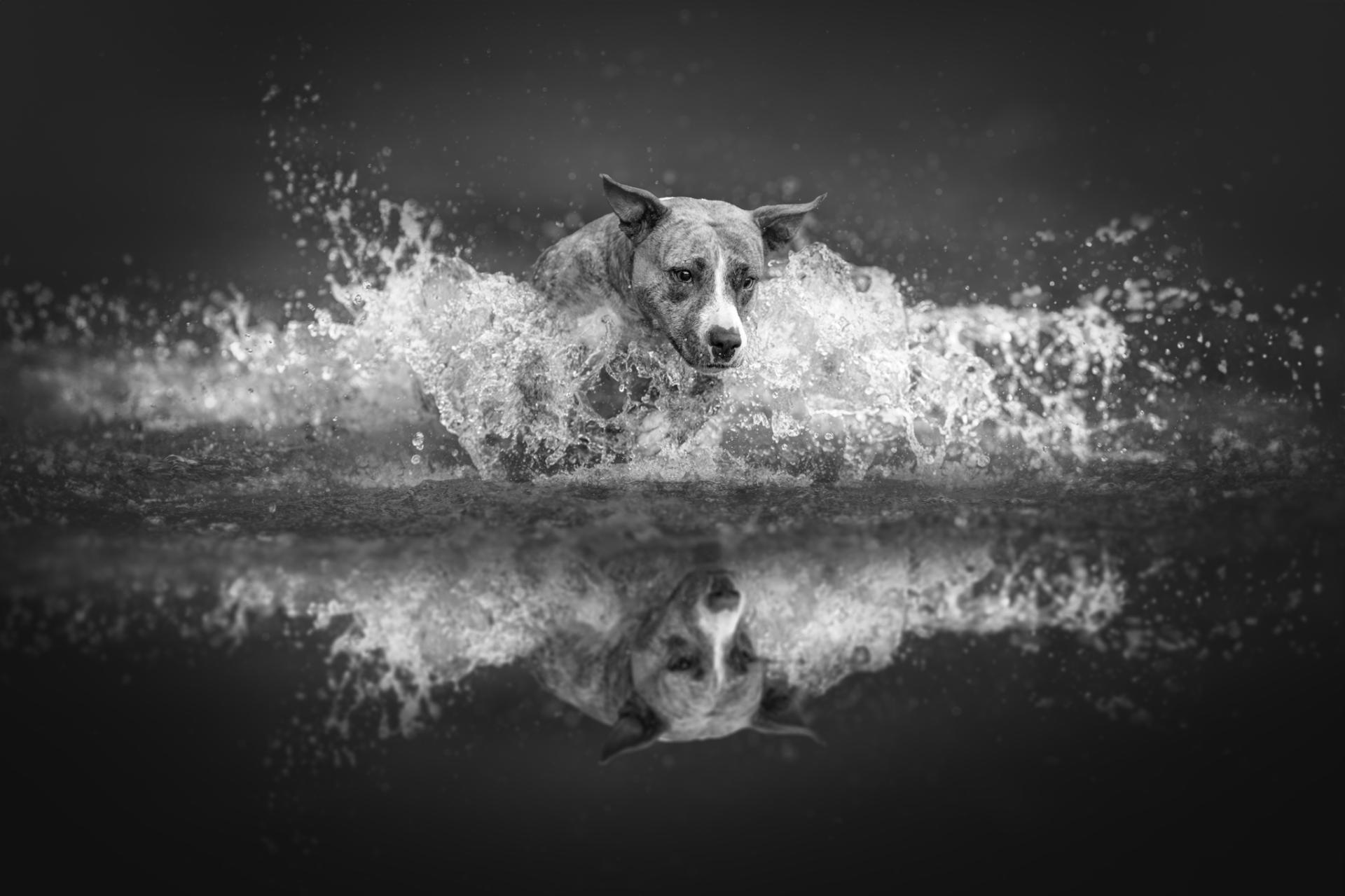 Global Photography Awards Winner - Summer splash photoshoot