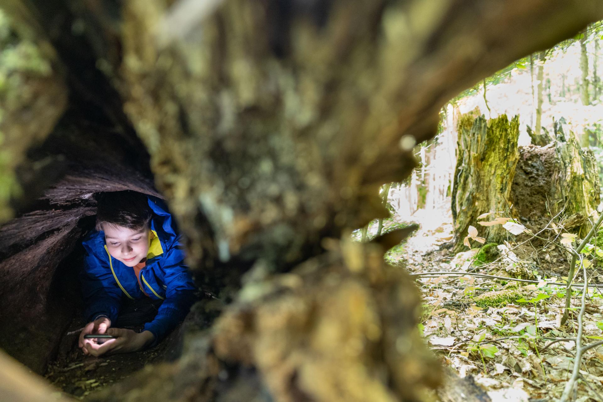 Global Photography Awards Winner - Forest base