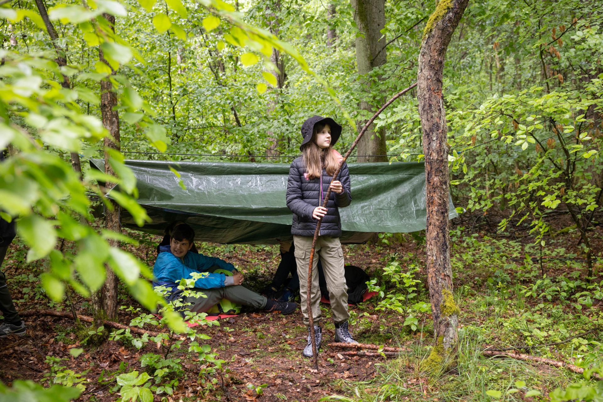 Global Photography Awards Winner - Forest base