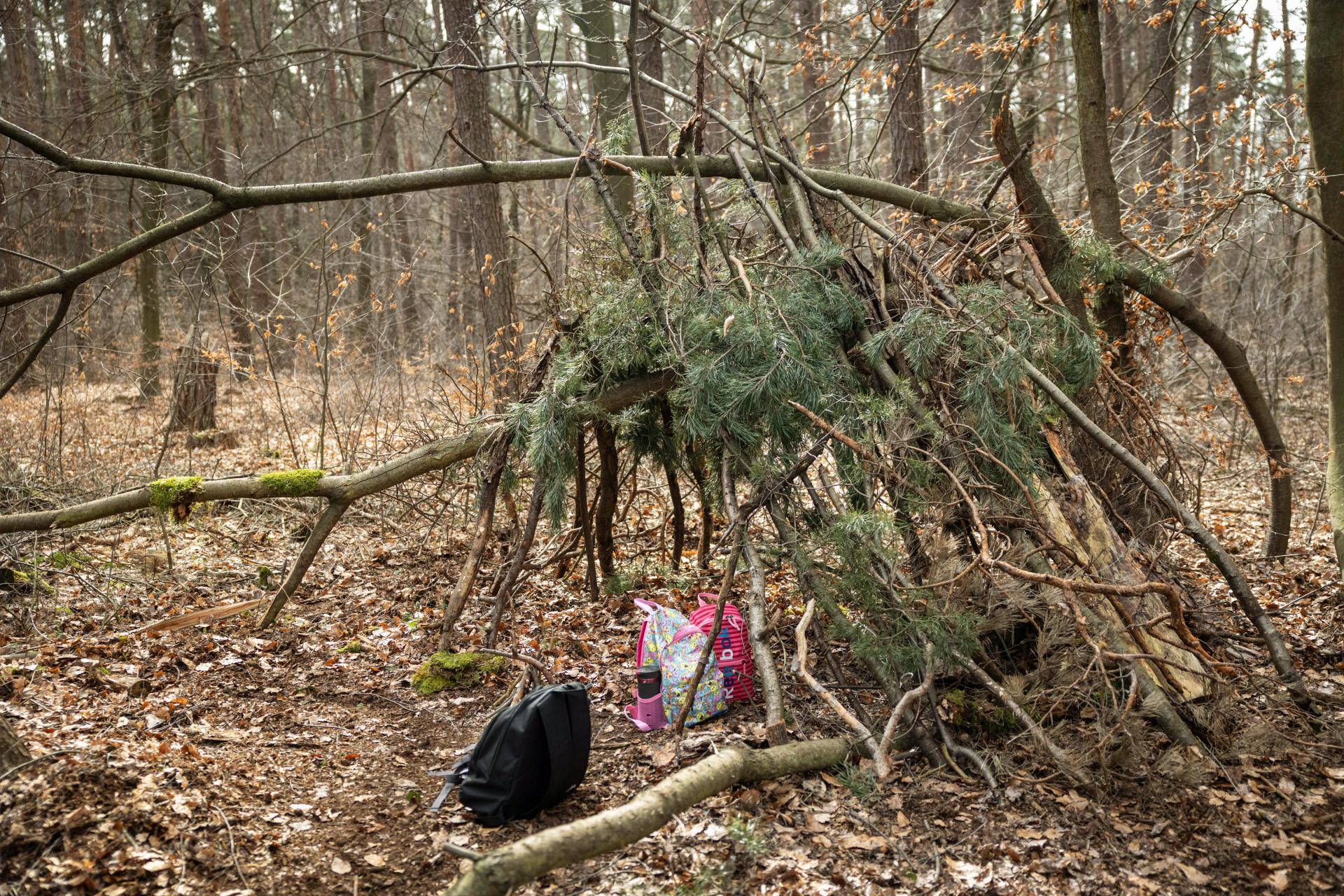 Global Photography Awards Winner - Forest base