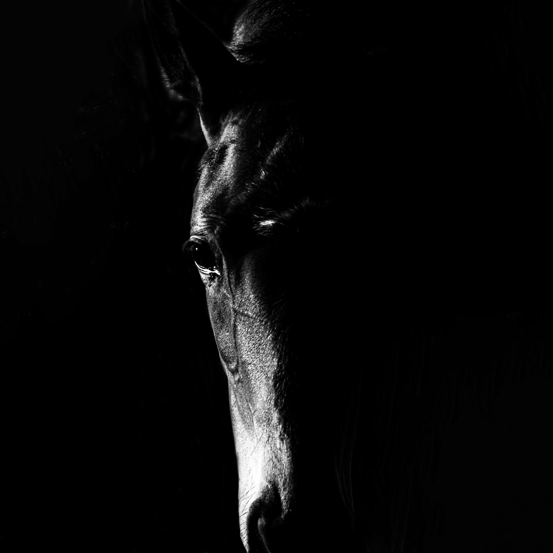 Global Photography Awards Winner - The Soul 