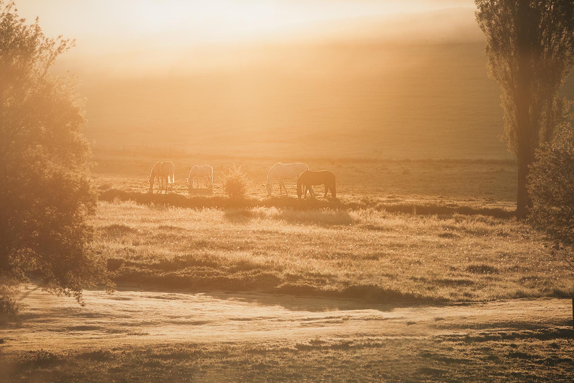 Global Photography Awards Winner - When light touches the soul