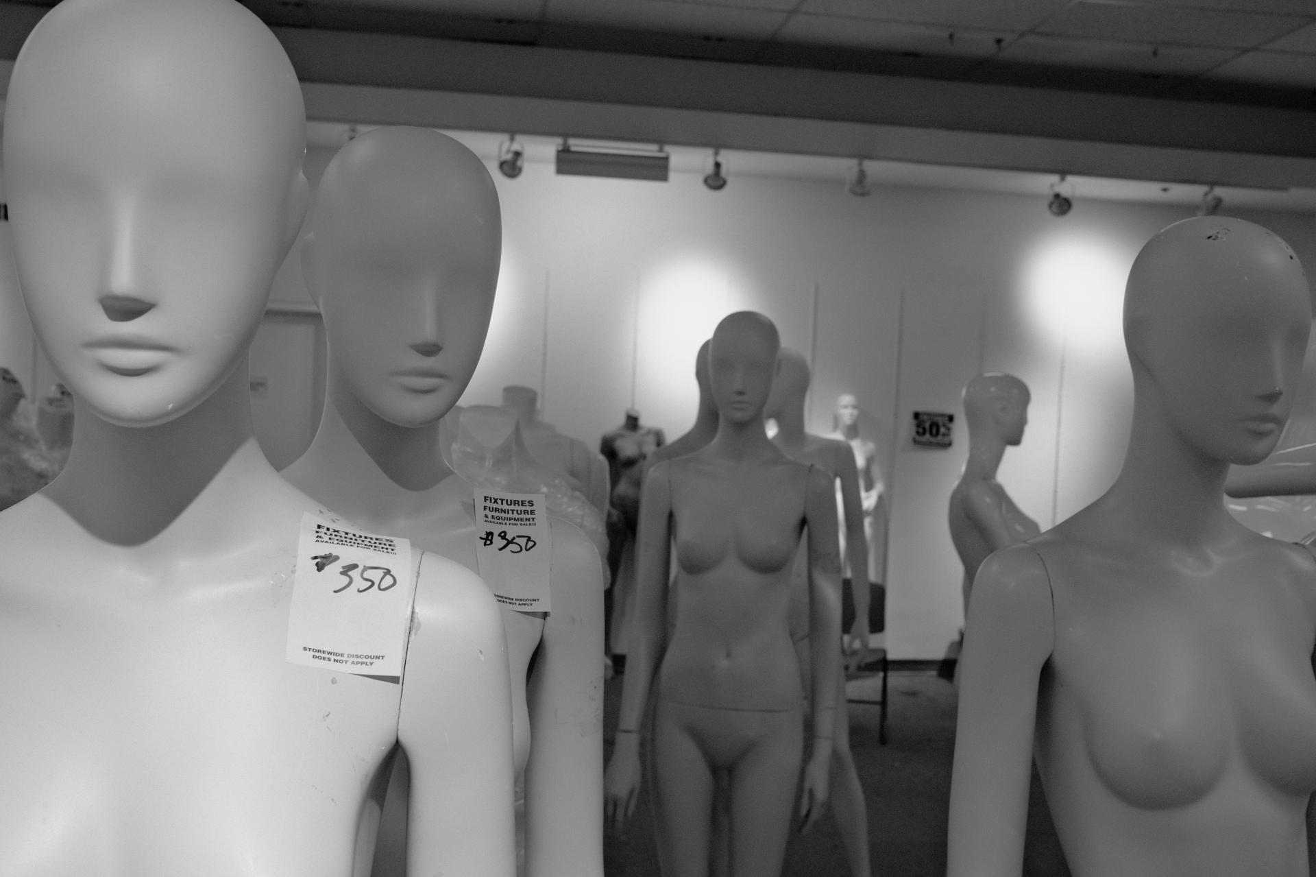 Global Photography Awards Winner - Fall of the Hudsun's Bay