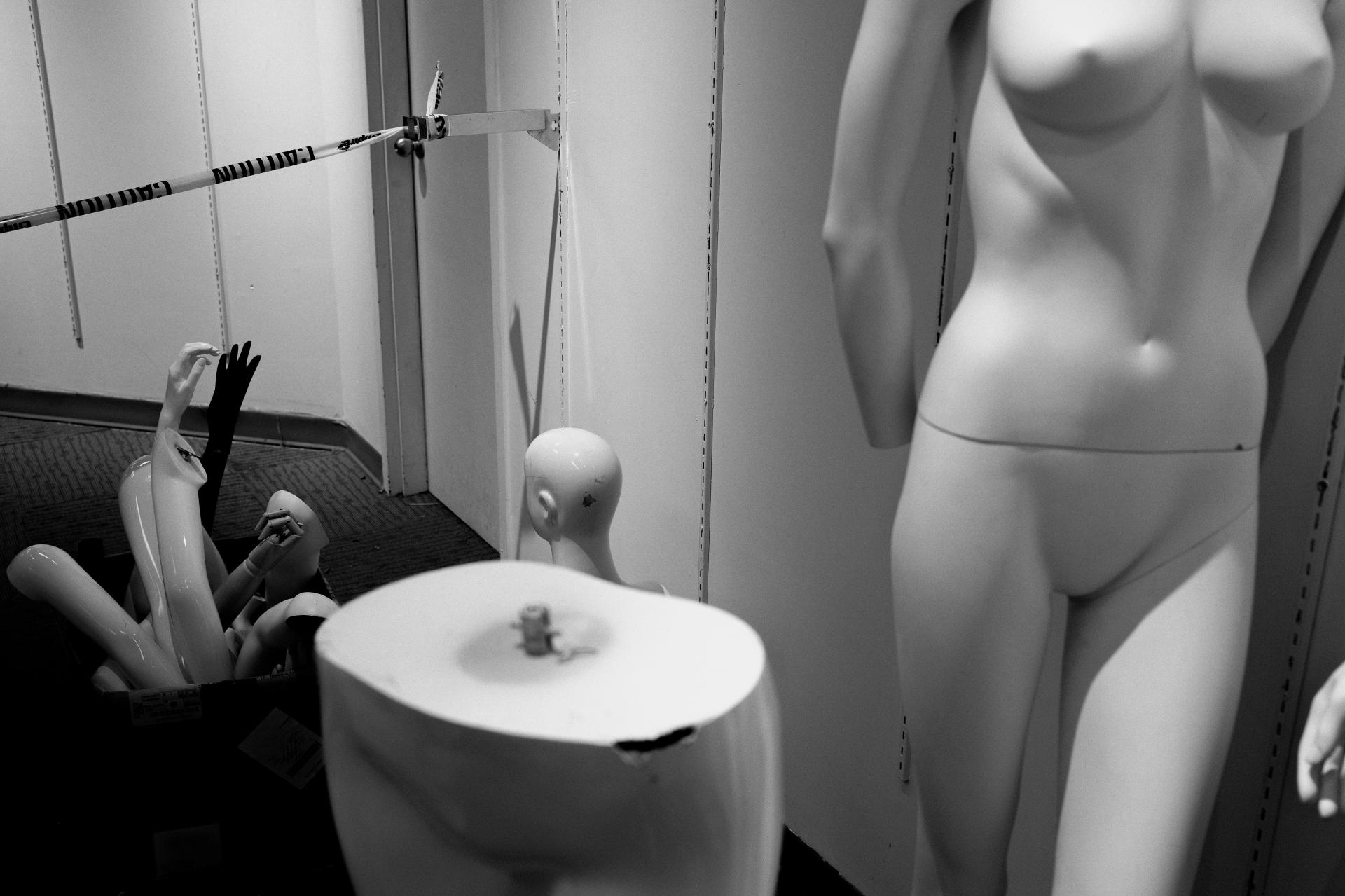 Global Photography Awards Winner - Fall of the Hudsun's Bay