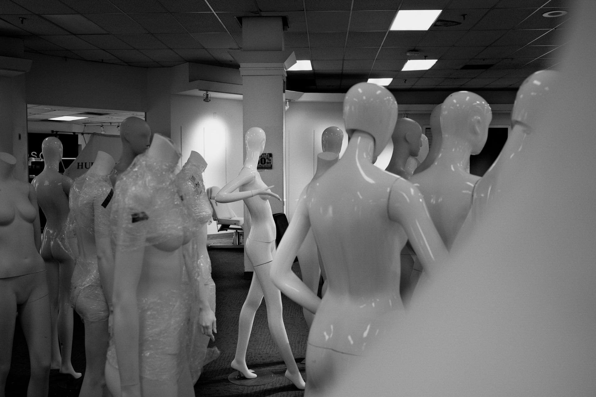 Global Photography Awards Winner - Fall of the Hudsun's Bay