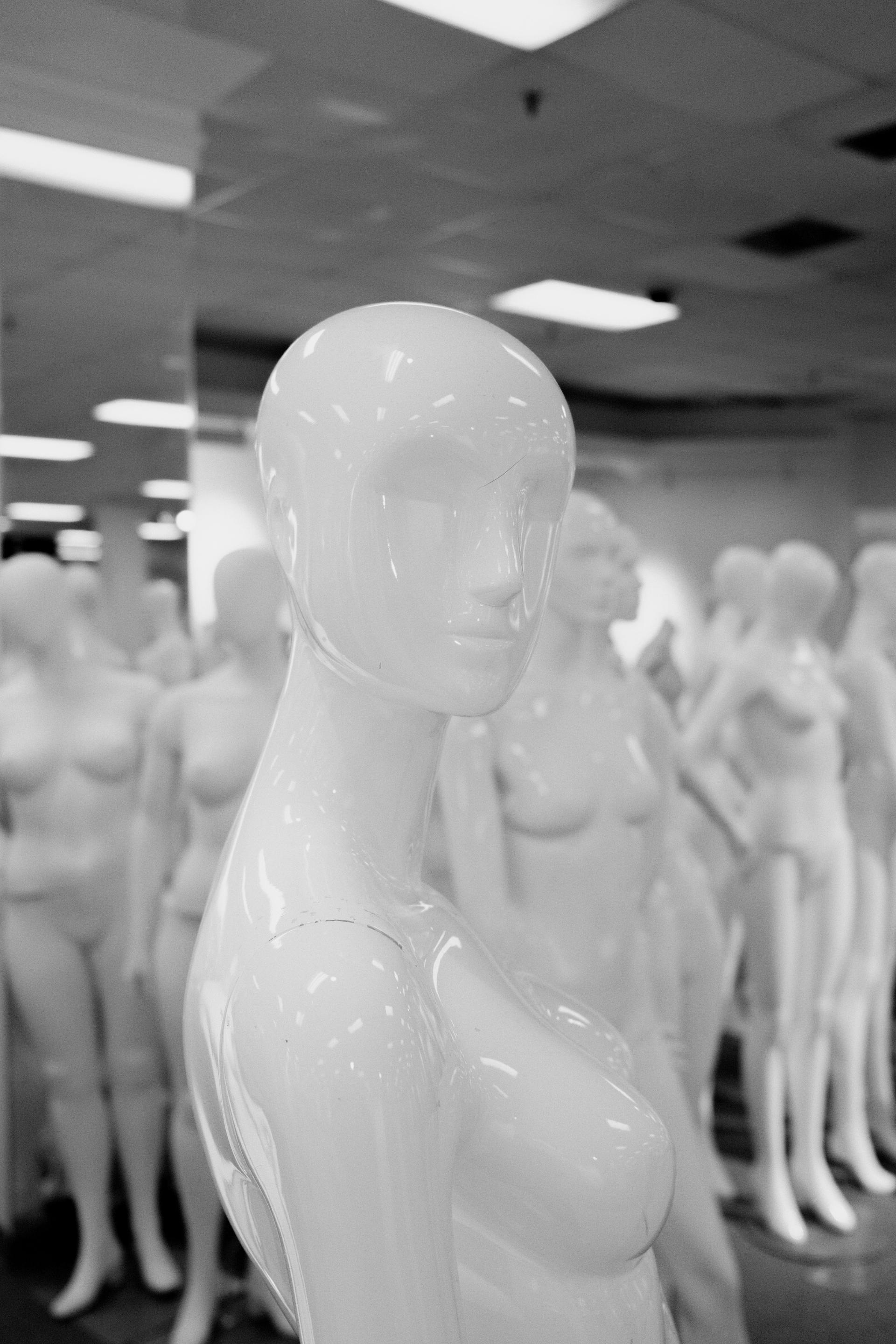 Global Photography Awards Winner - Fall of the Hudsun's Bay