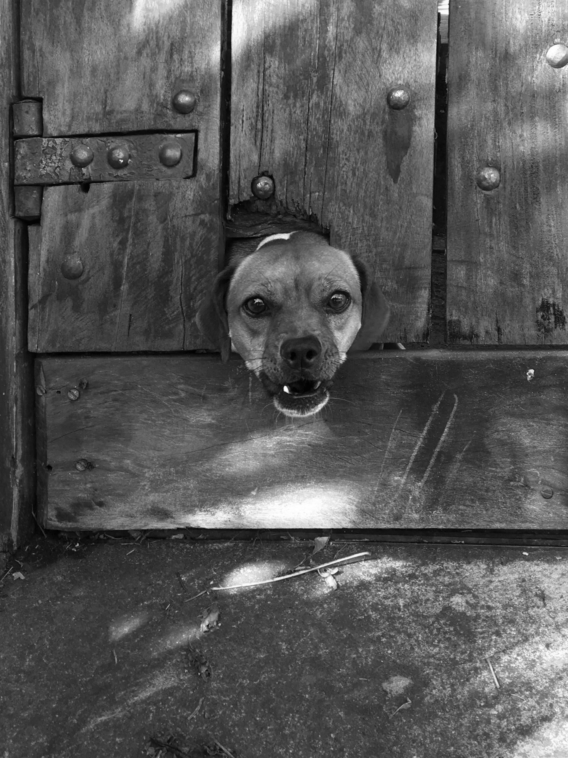 Global Photography Awards Winner - The Door