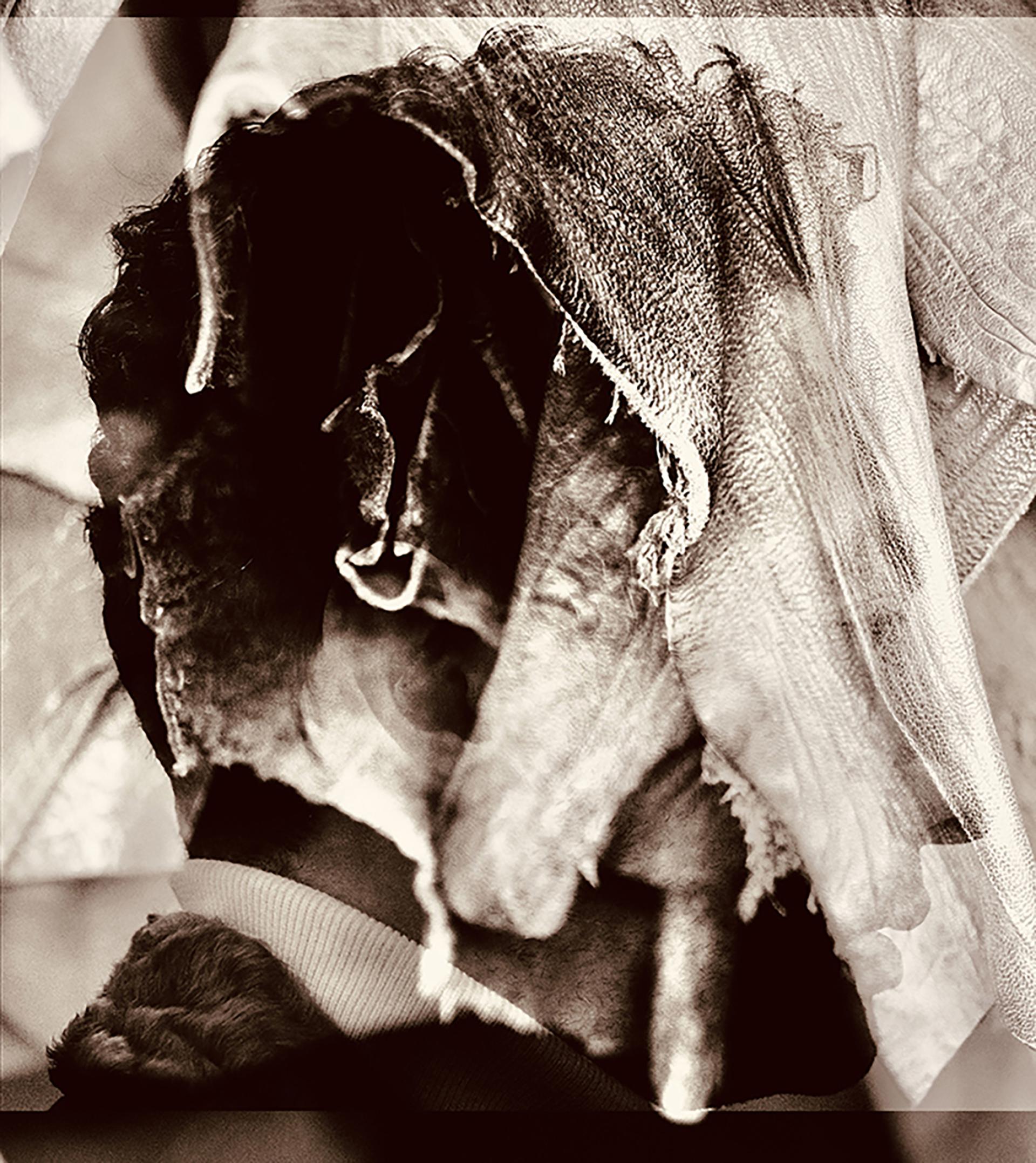 Global Photography Awards Winner - Facade