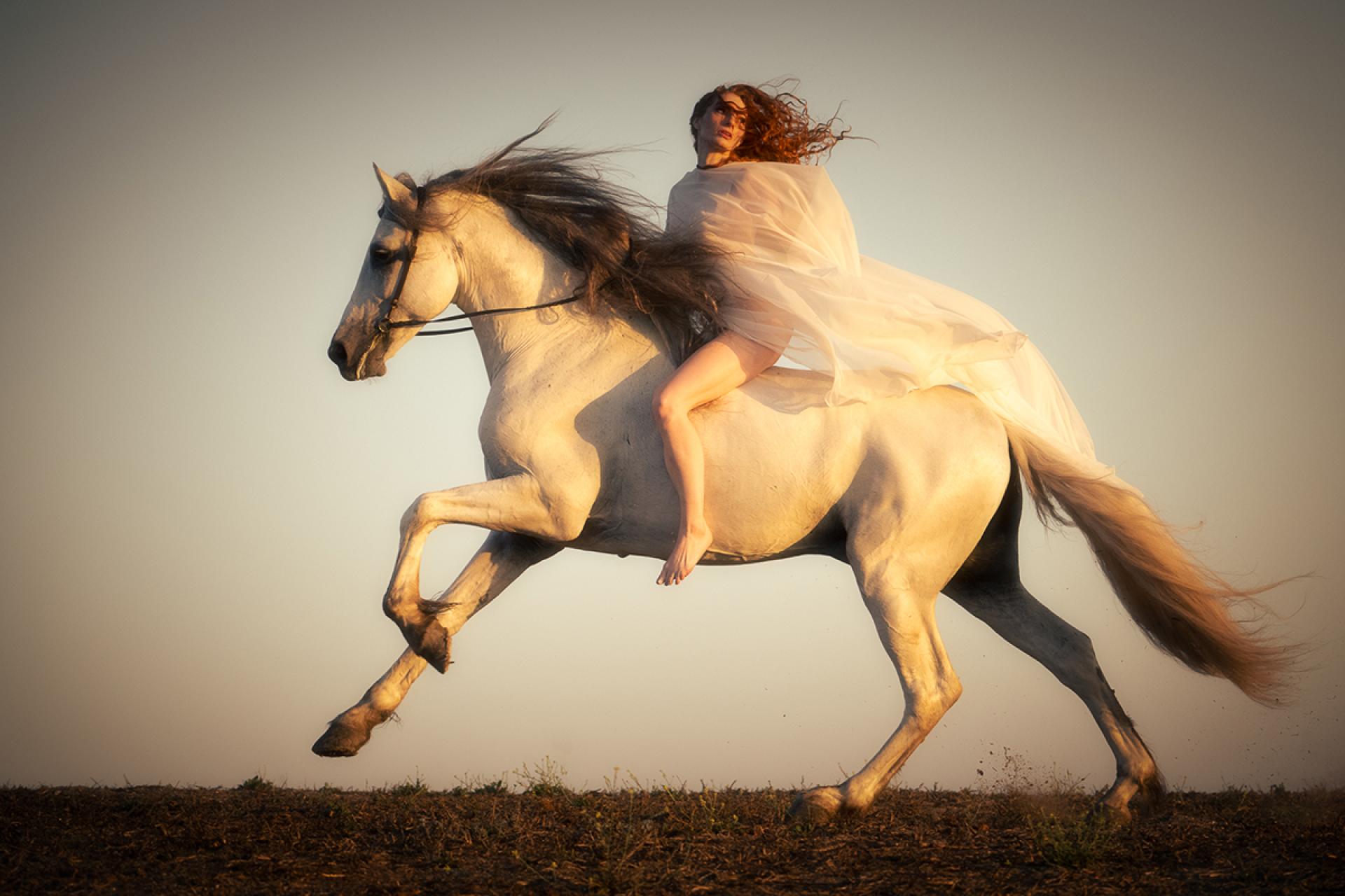 Global Photography Awards Winner - Ethereal Equus