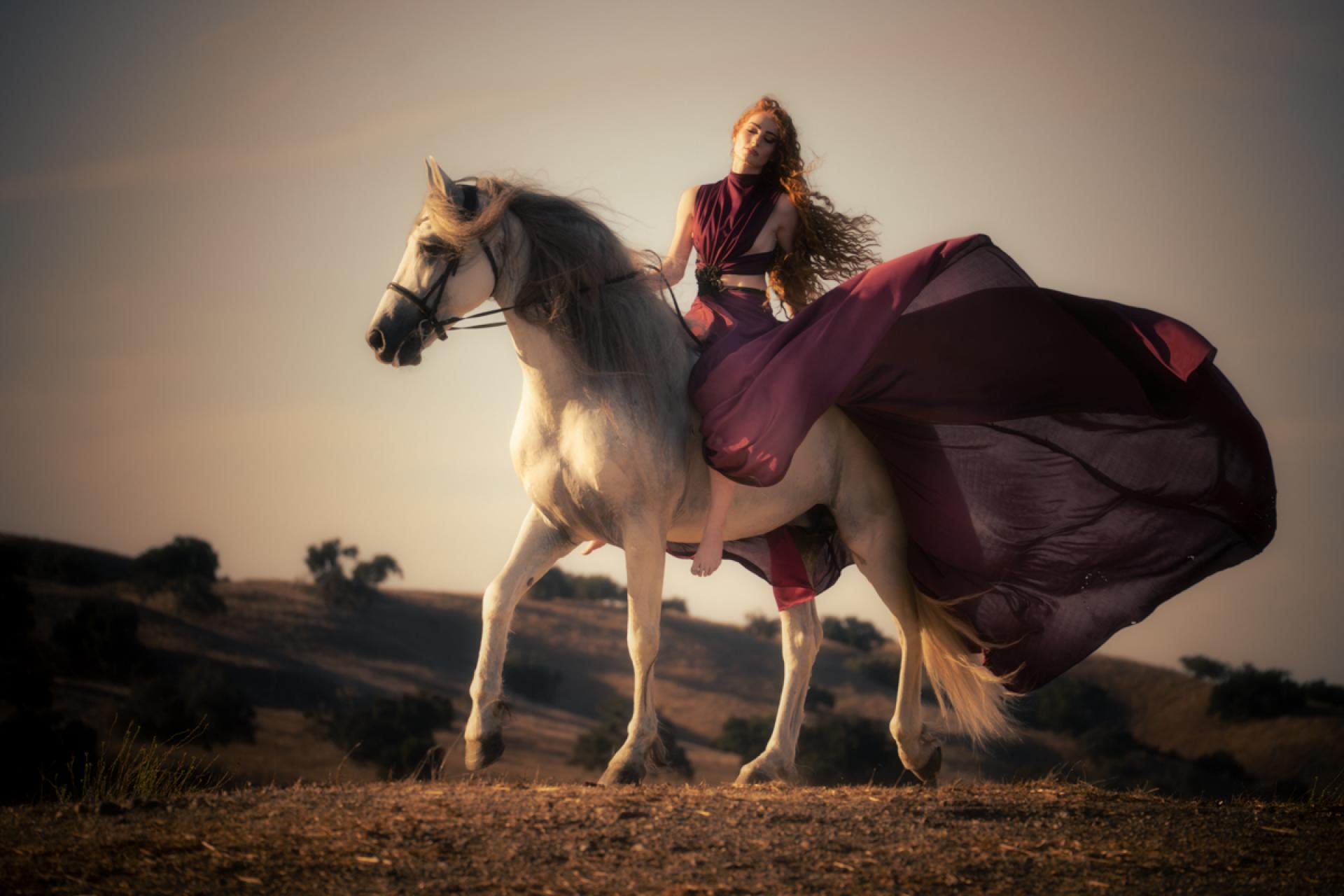 Global Photography Awards Winner - Sunkissed