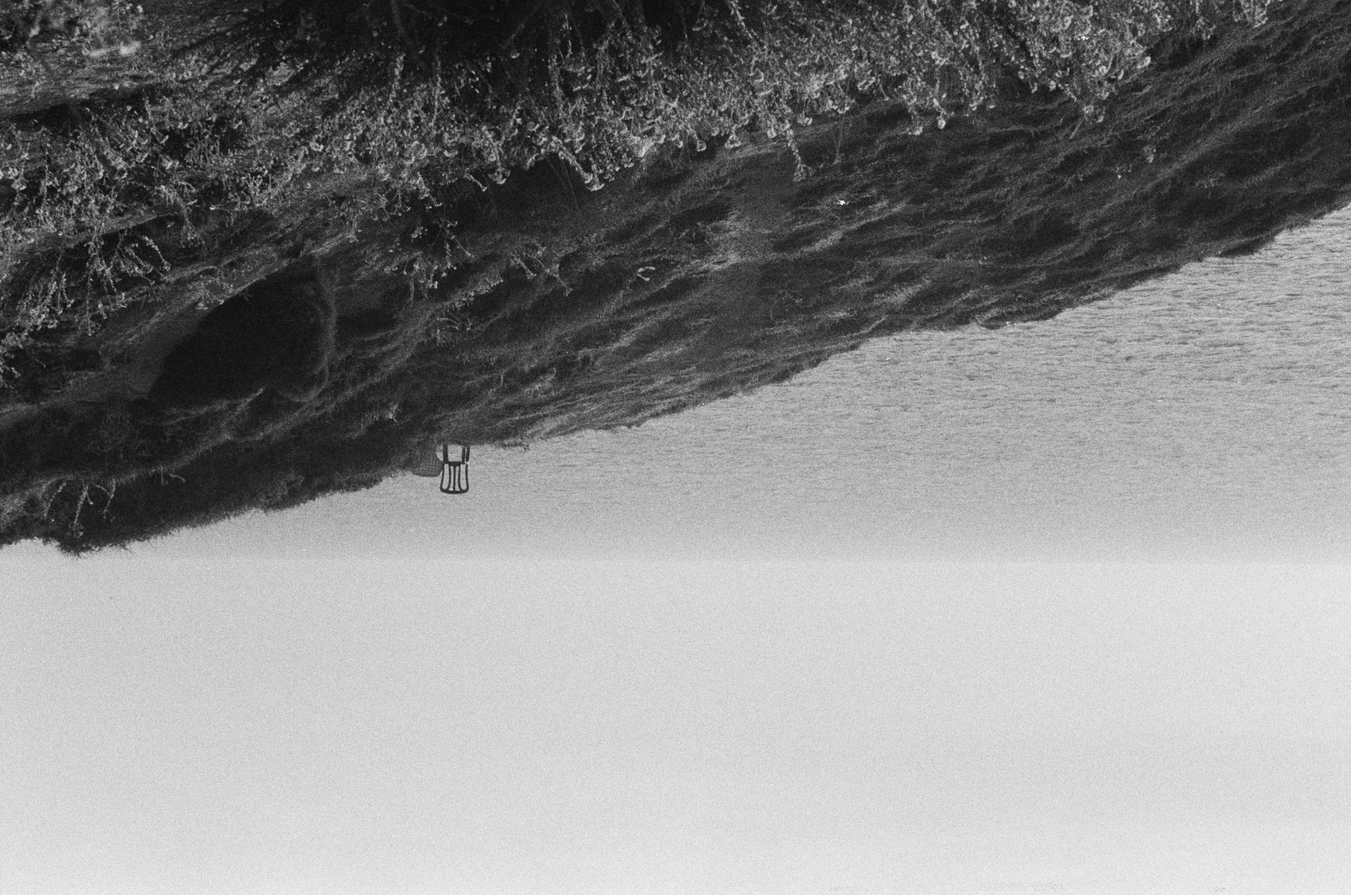 Global Photography Awards Winner - Dreamscape