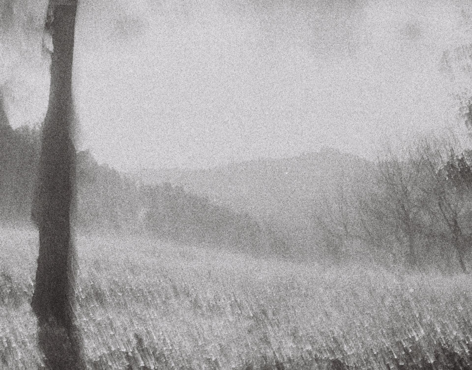 Global Photography Awards Winner - Dreamscape