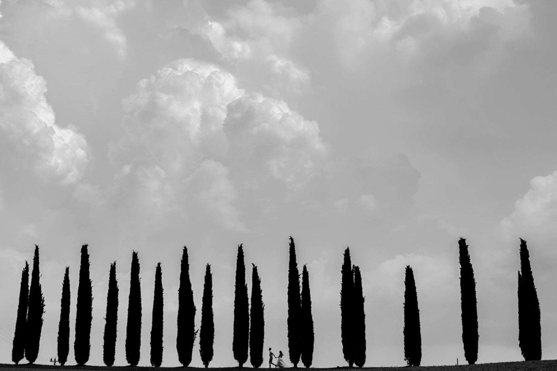 Global Photography Awards Winner - Tuscany in Motion