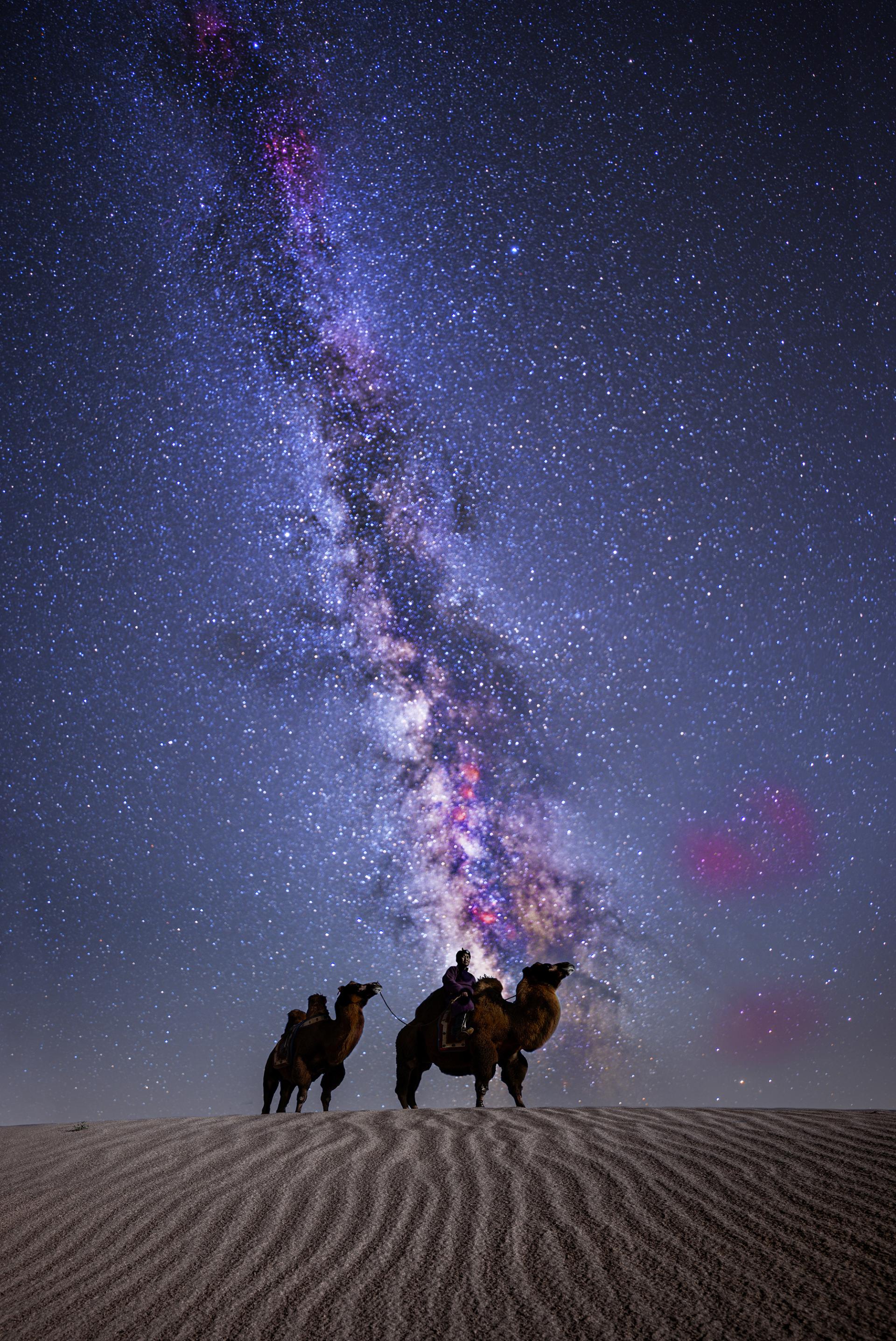 Global Photography Awards Winner - CAMEL WITH MILKYWAY