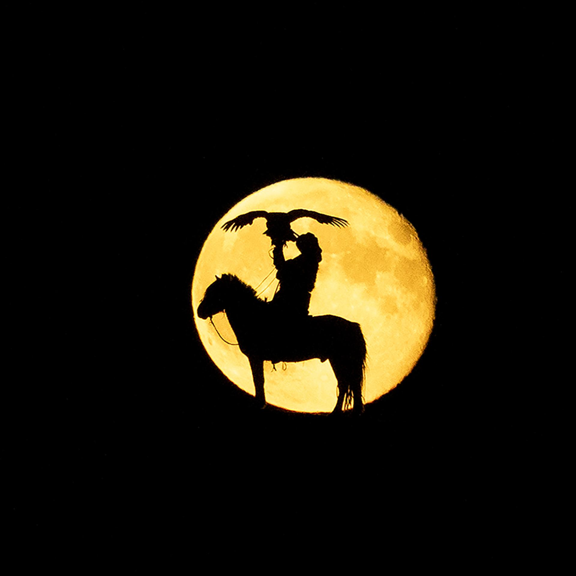 Global Photography Awards Winner - Eagle Hunter in the Moon