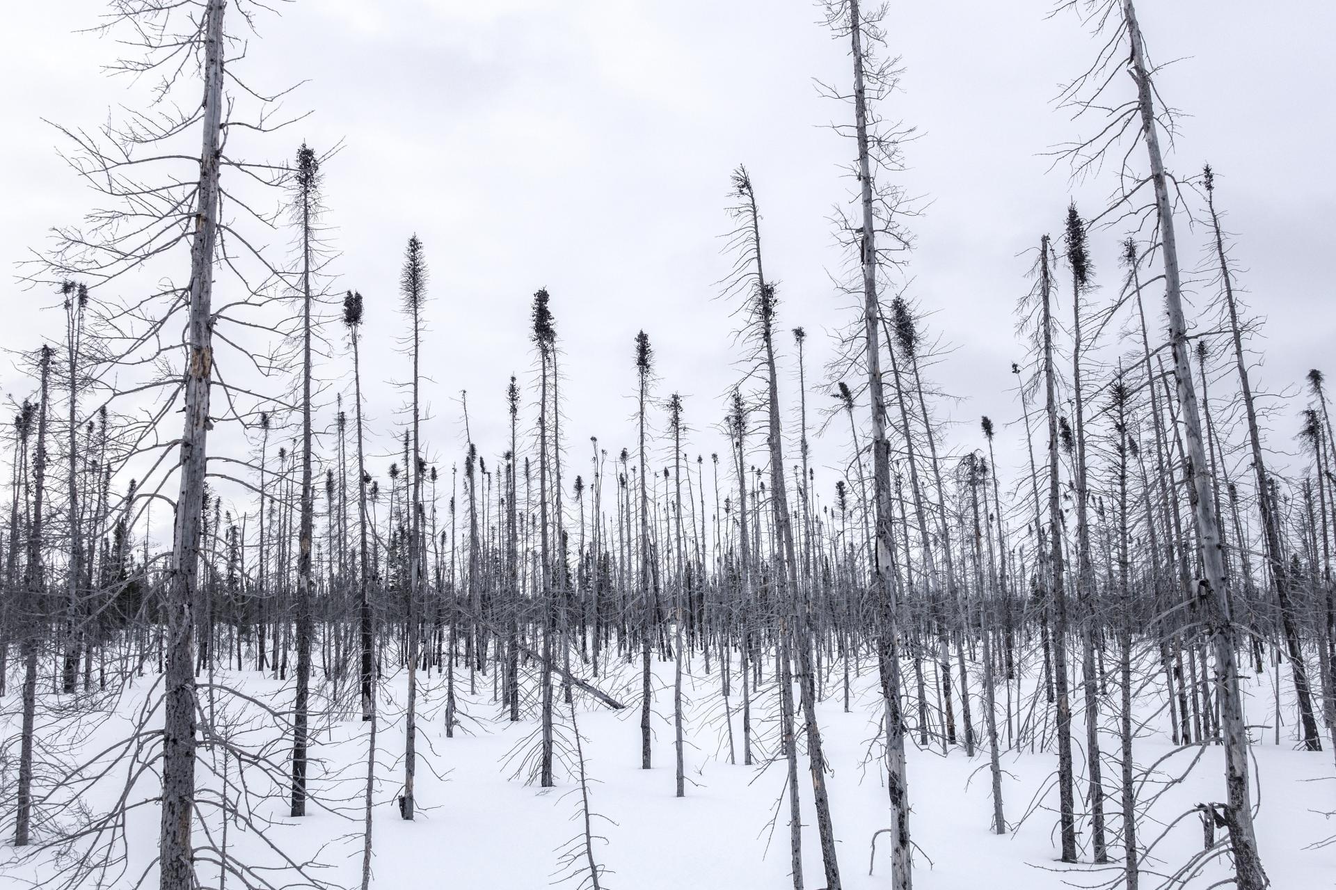 Global Photography Awards Winner - FAR NORTH CANADA