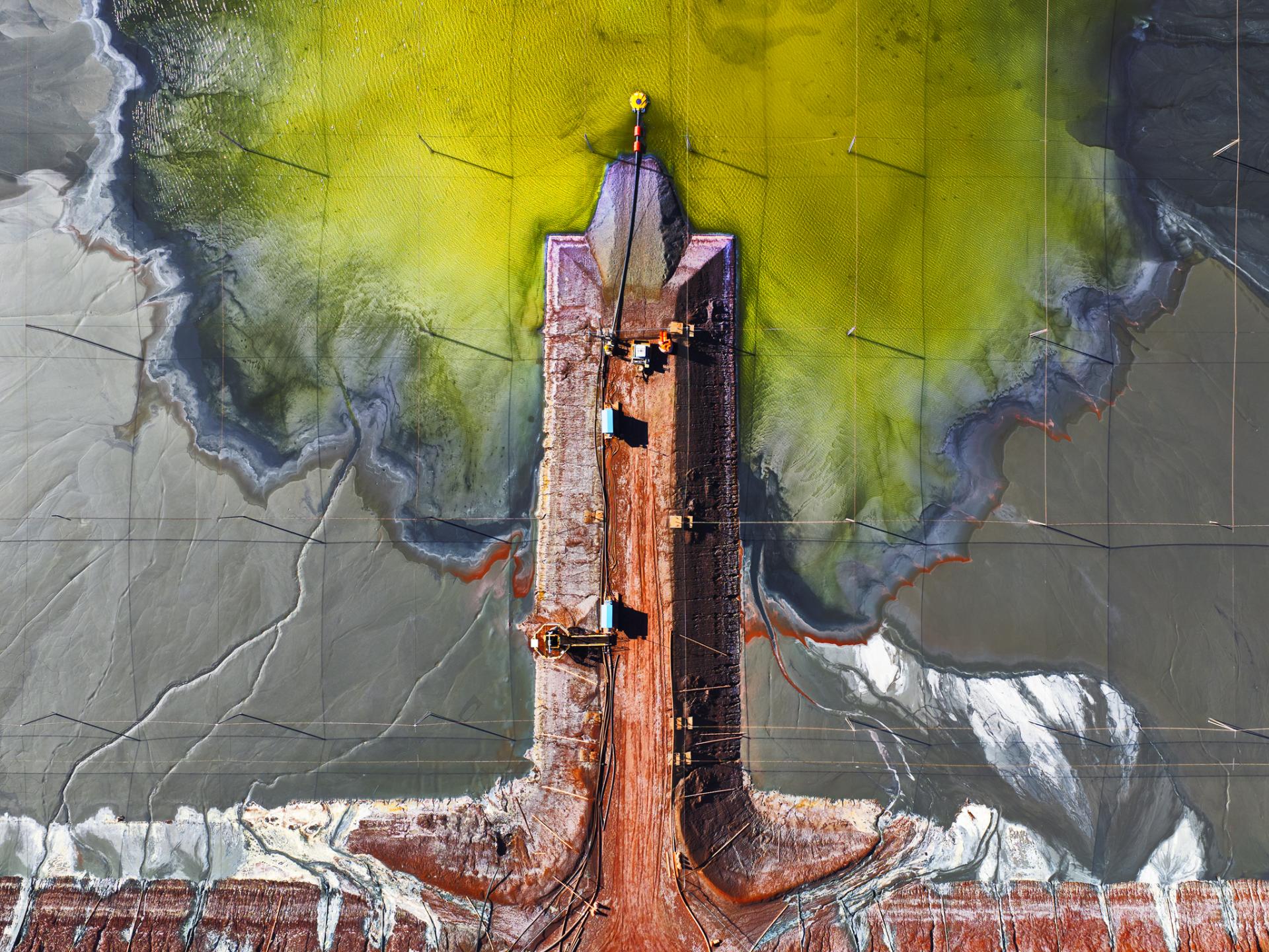 Global Photography Awards Winner - Bonsai