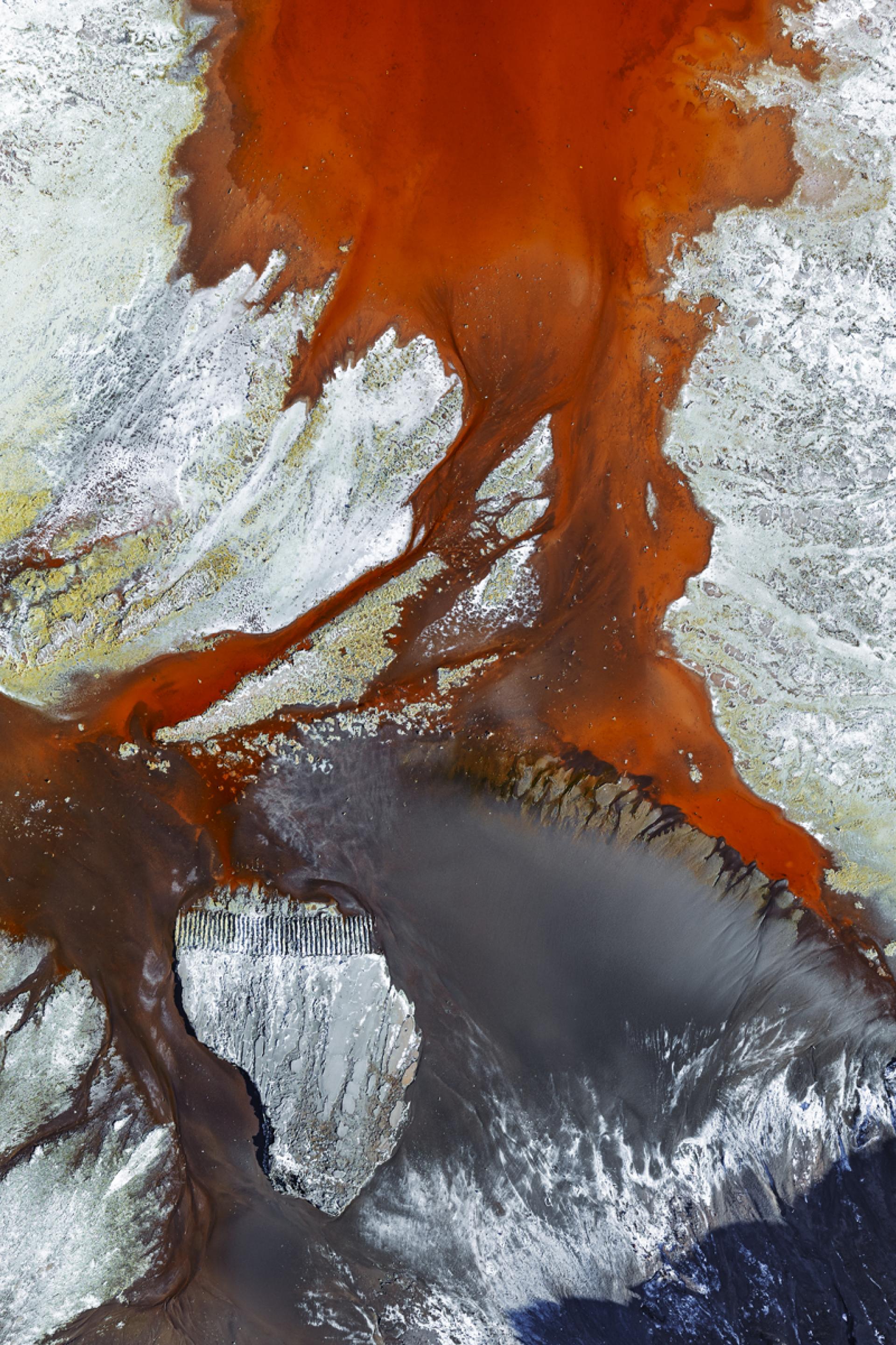 Global Photography Awards Winner - Crimson