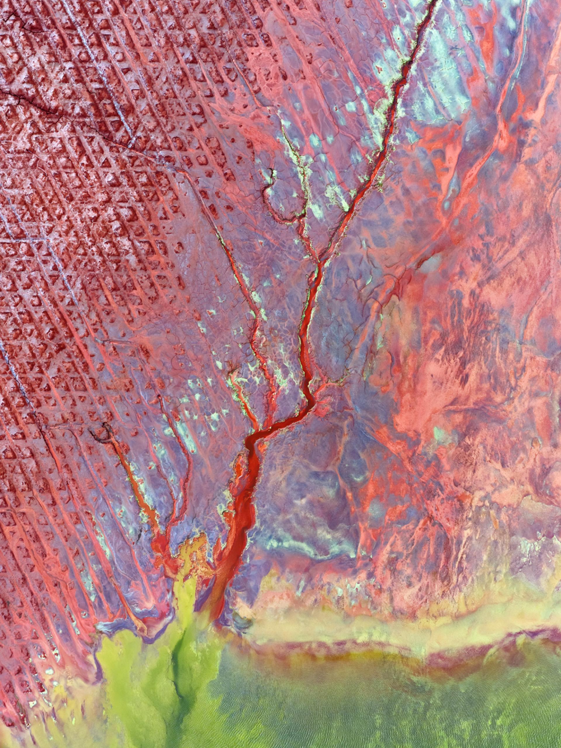 Global Photography Awards Winner - Opal