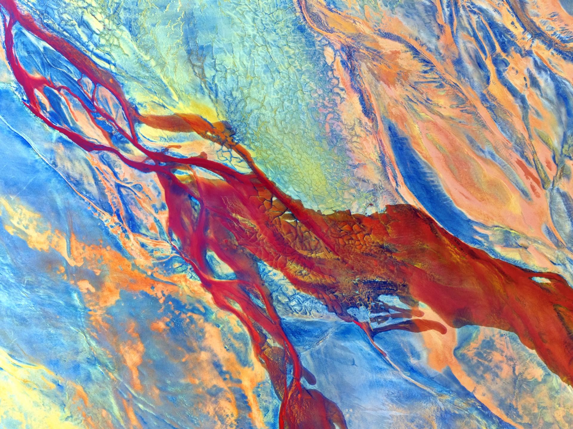 Global Photography Awards Winner - Psychedelic