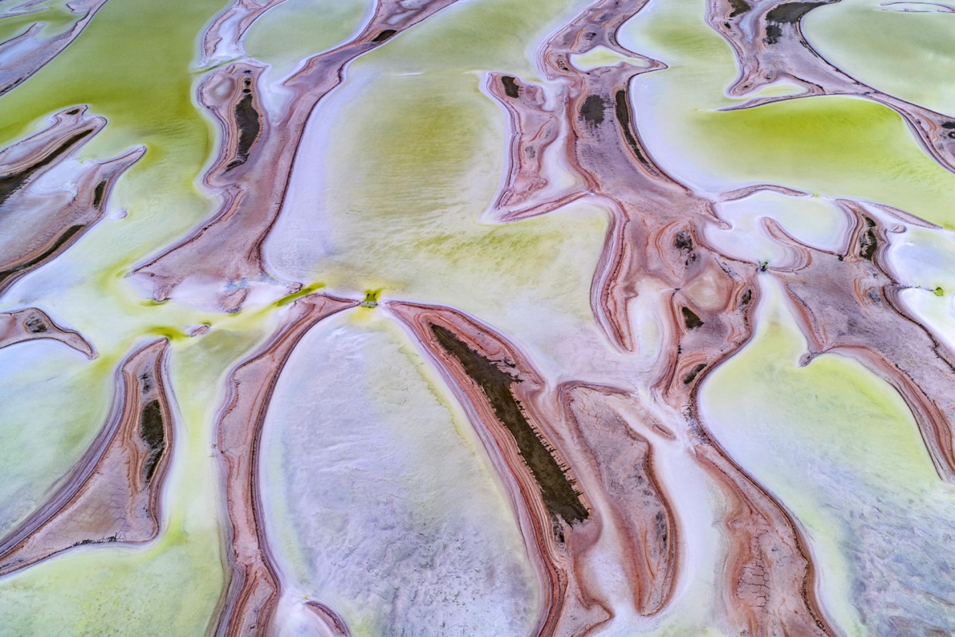 Global Photography Awards Winner - Zest