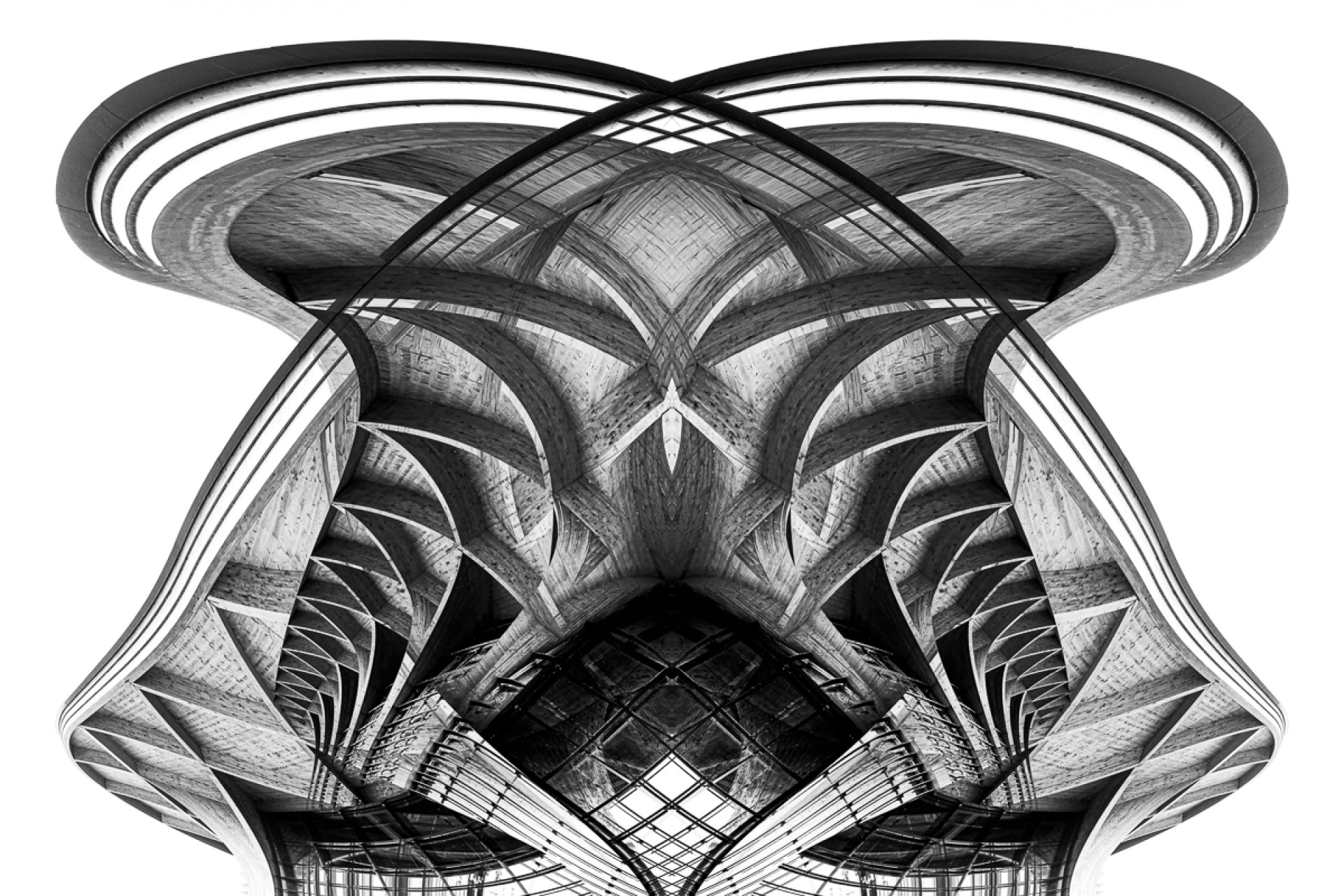 Global Photography Awards Winner - the black dog