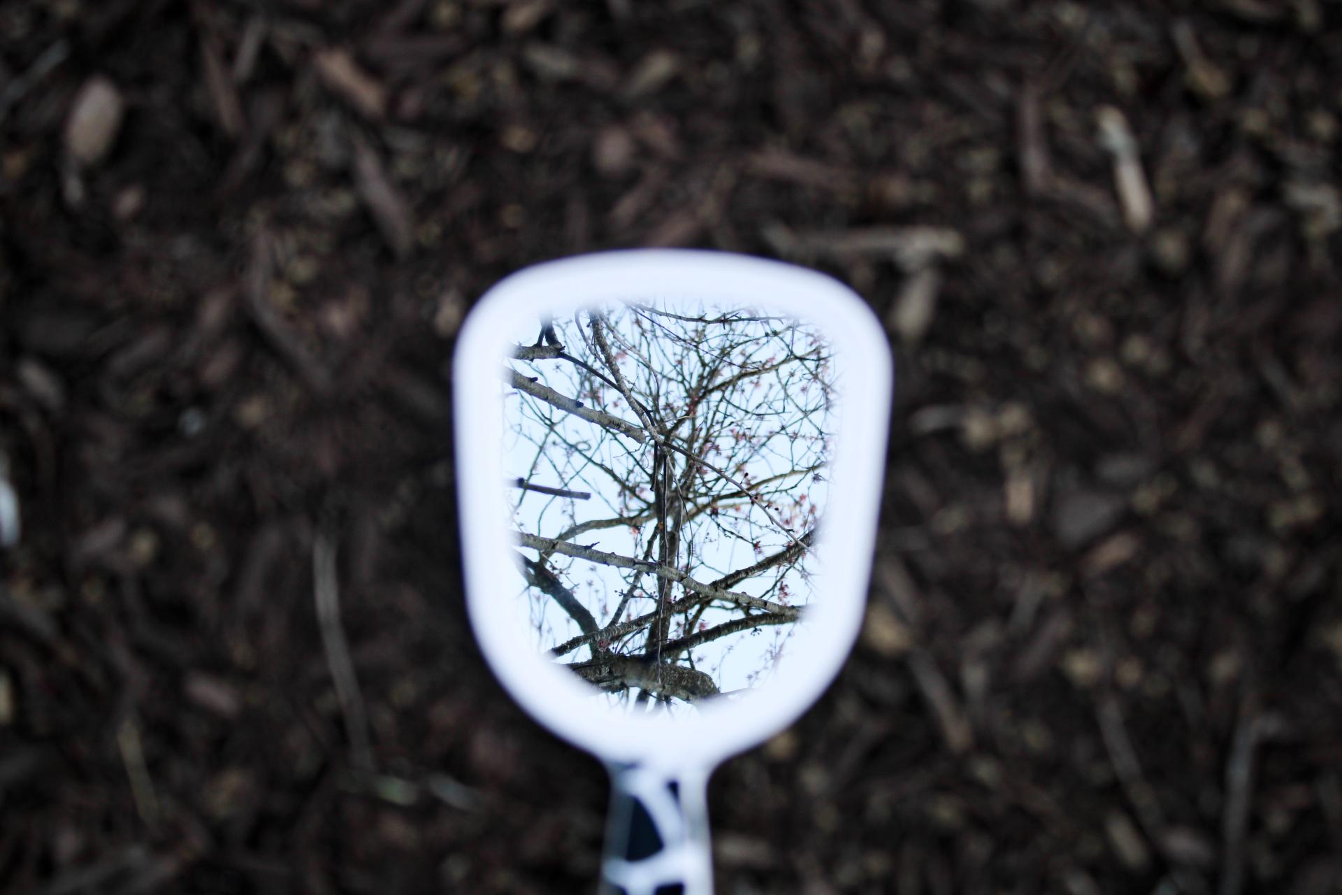 Global Photography Awards Winner - Reflections In Bloom