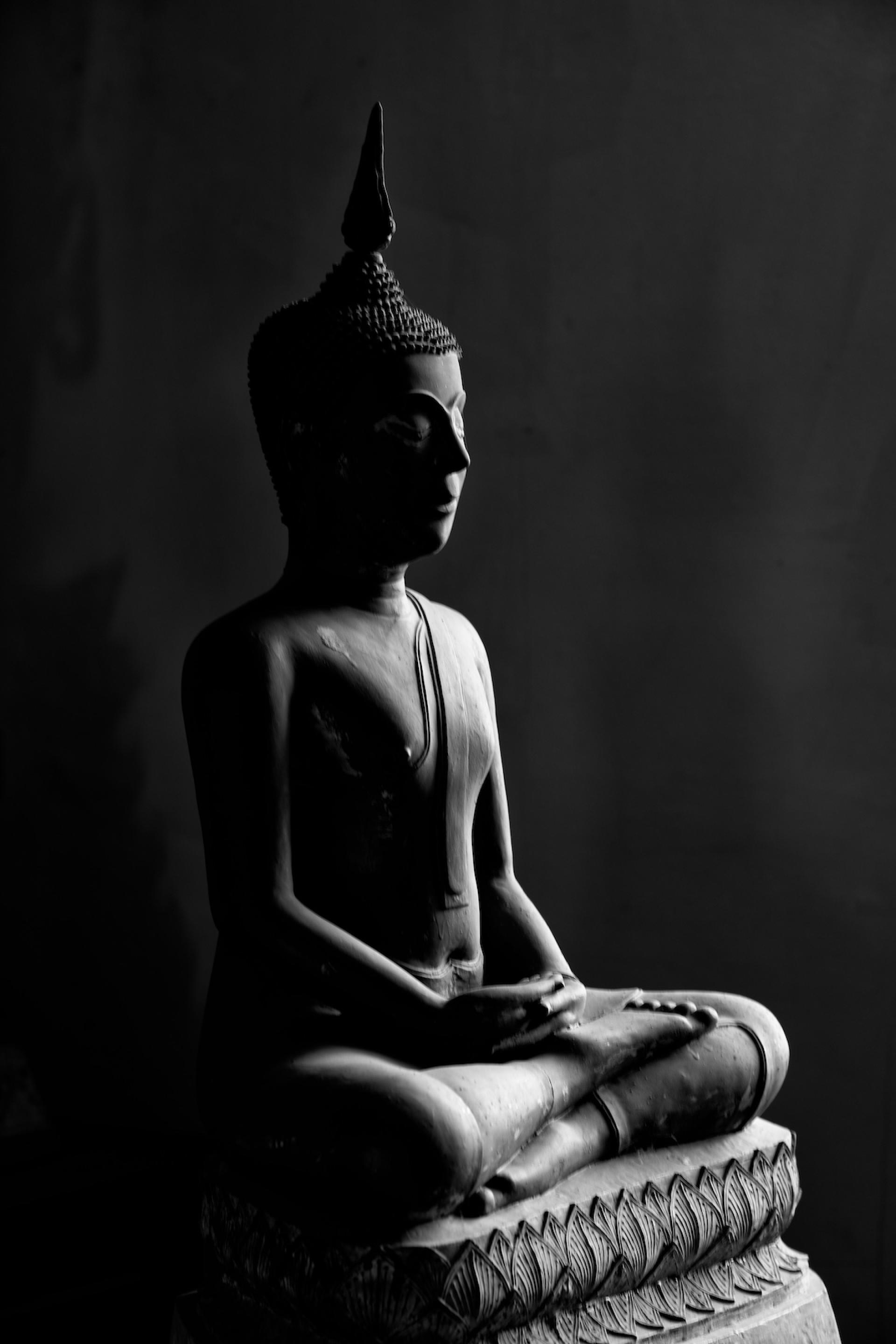 Global Photography Awards Winner - From Darkness Into Light