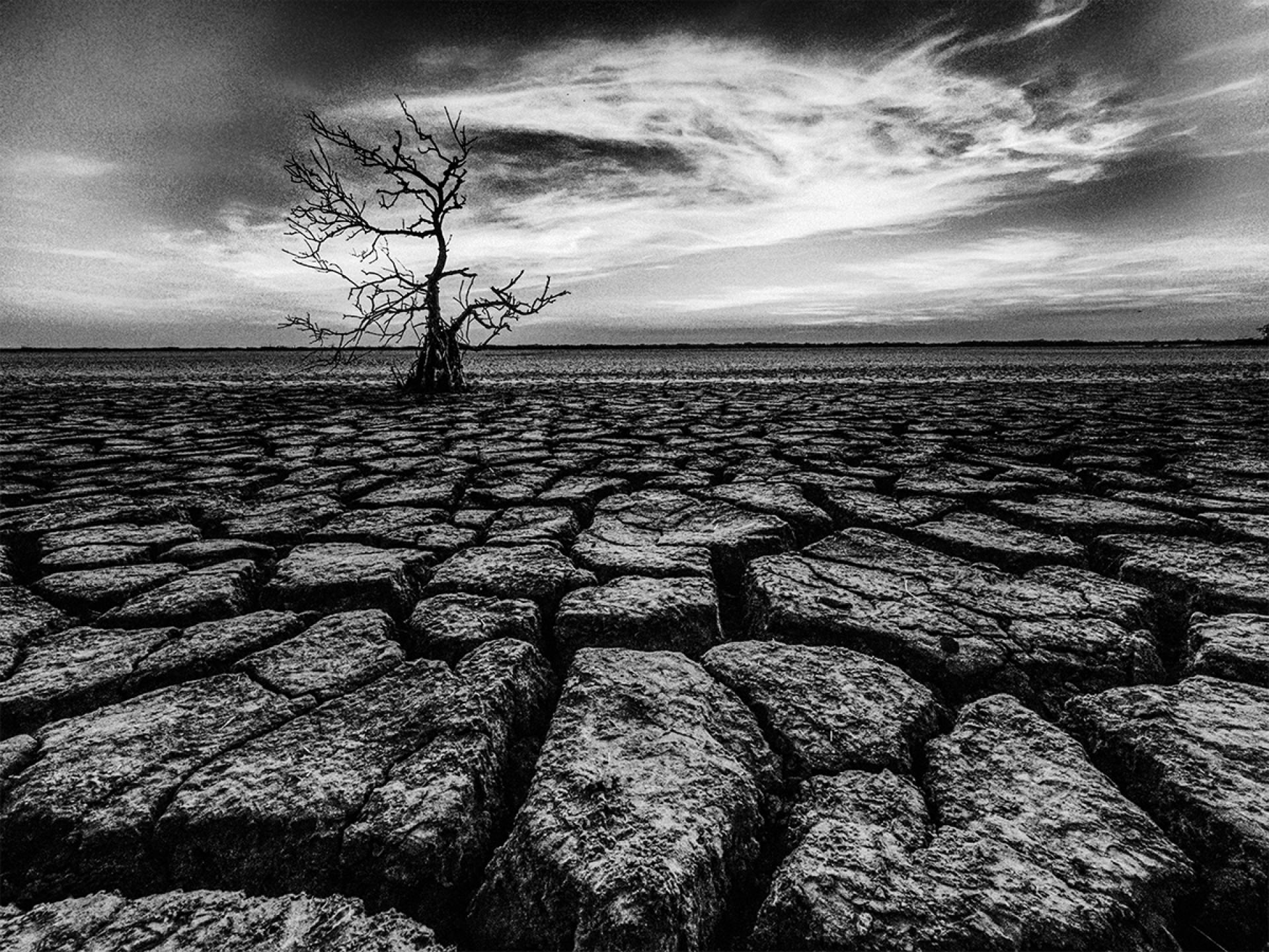 Global Photography Awards Winner - Dry land