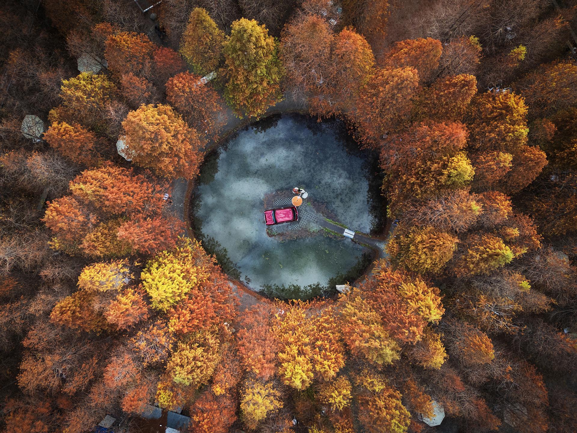 Global Photography Awards Winner - The Beautiful larch forest