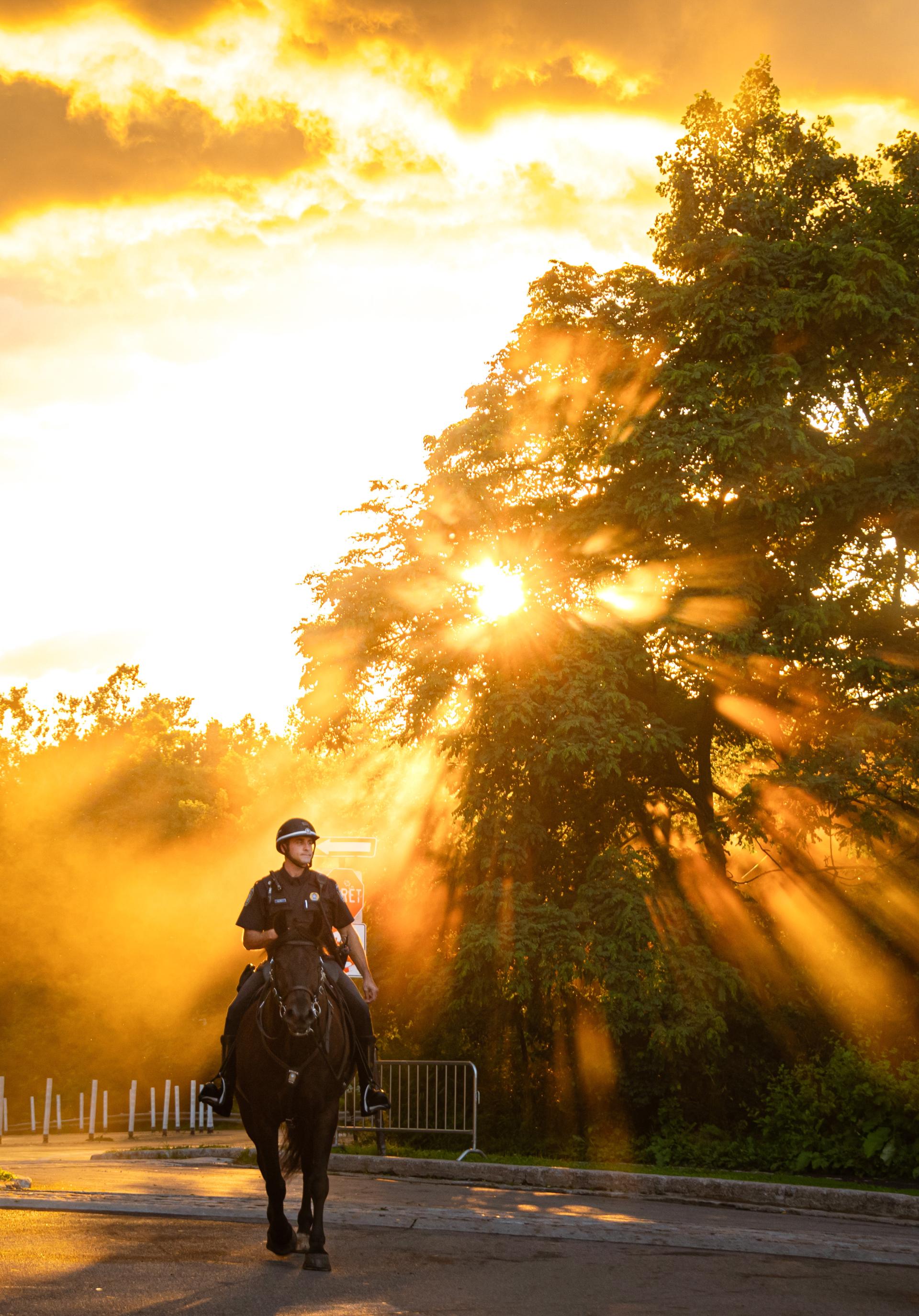 Global Photography Awards Winner - The Protector's Return: After the Storm