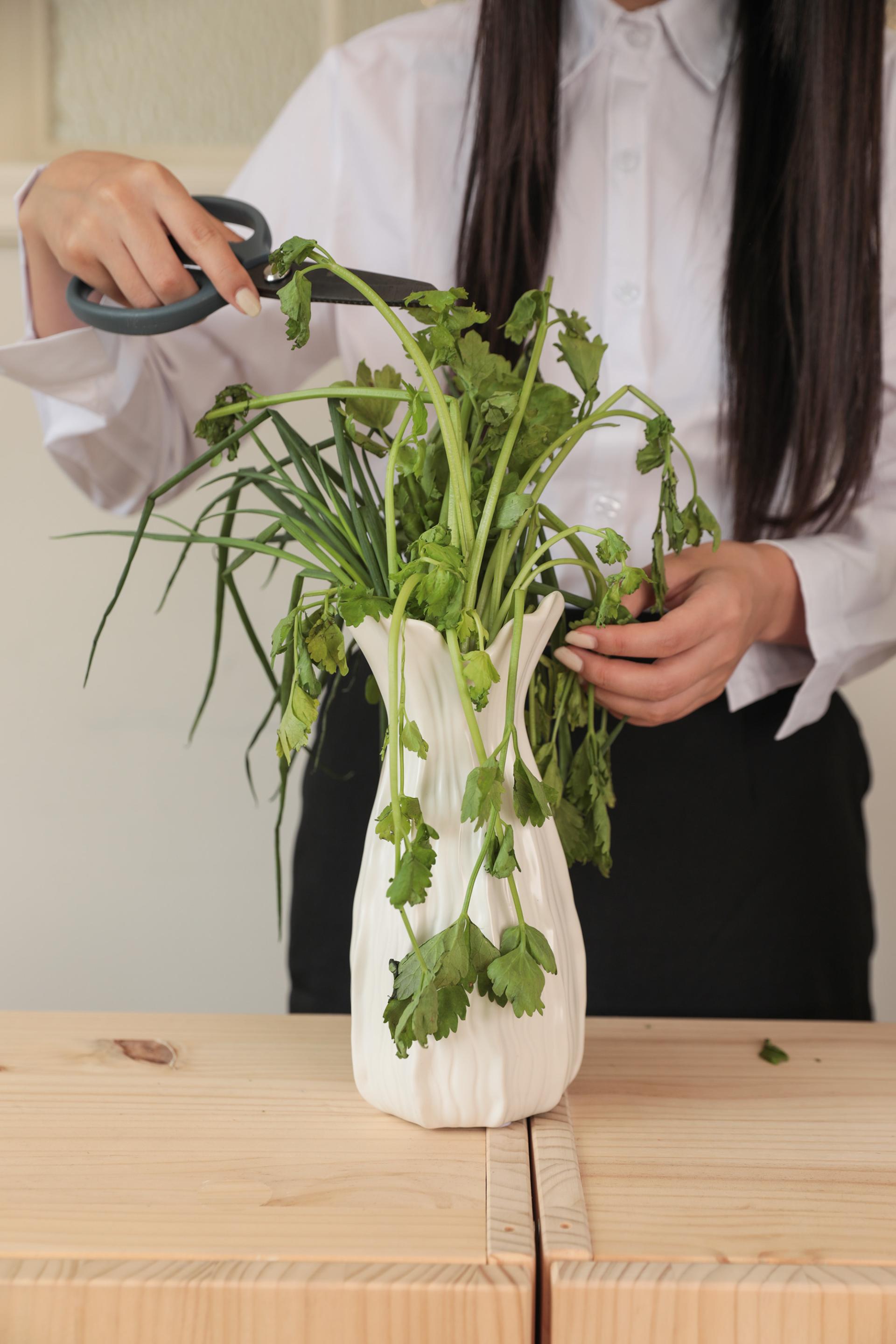 Global Photography Awards Winner - Lagom