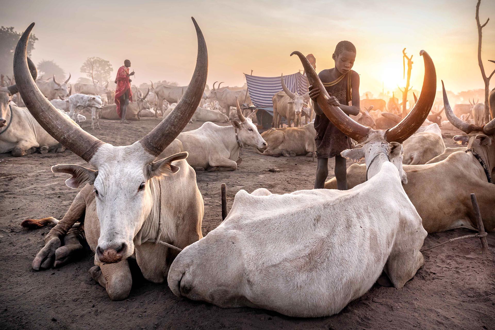 Global Photography Awards Winner - Mundari Culture