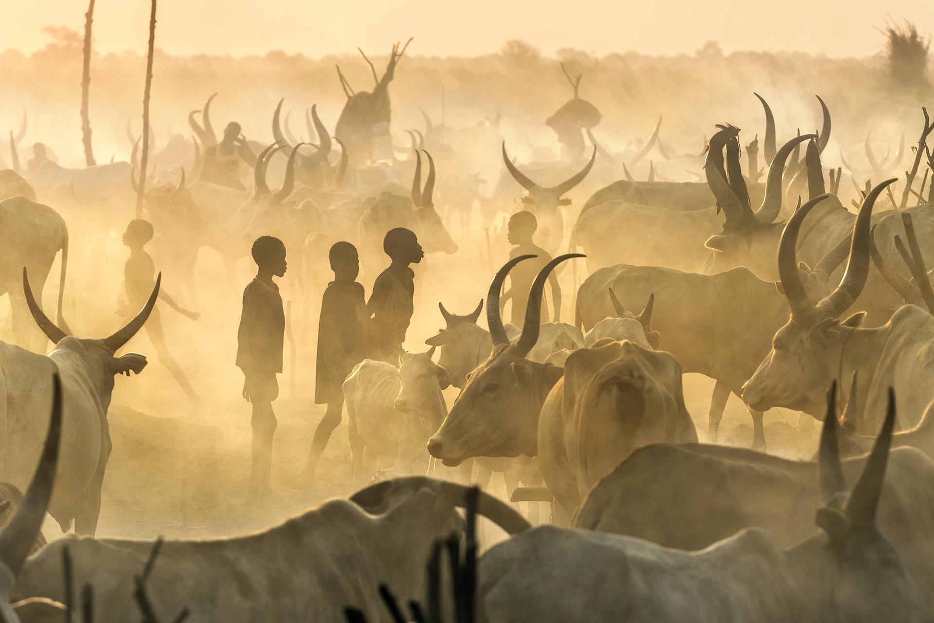 Global Photography Awards Winner - Mundari Culture