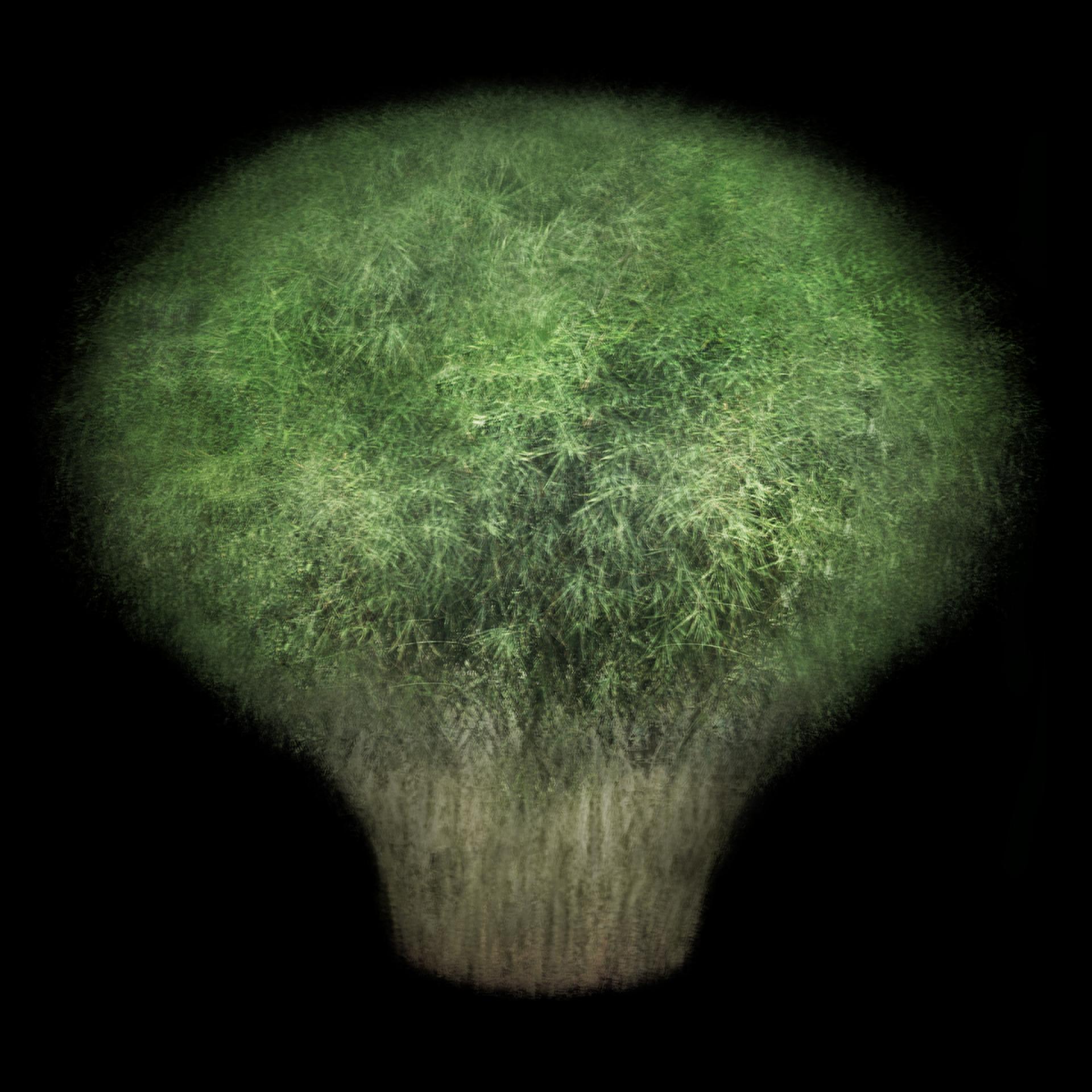 Global Photography Awards Winner - Jiao Du