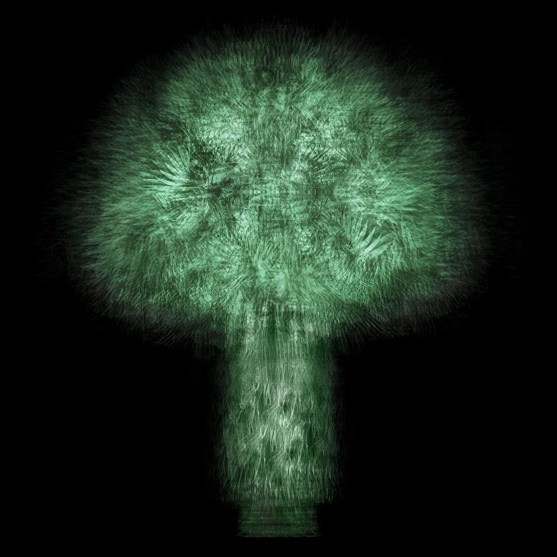 Global Photography Awards Winner - Jiao Du