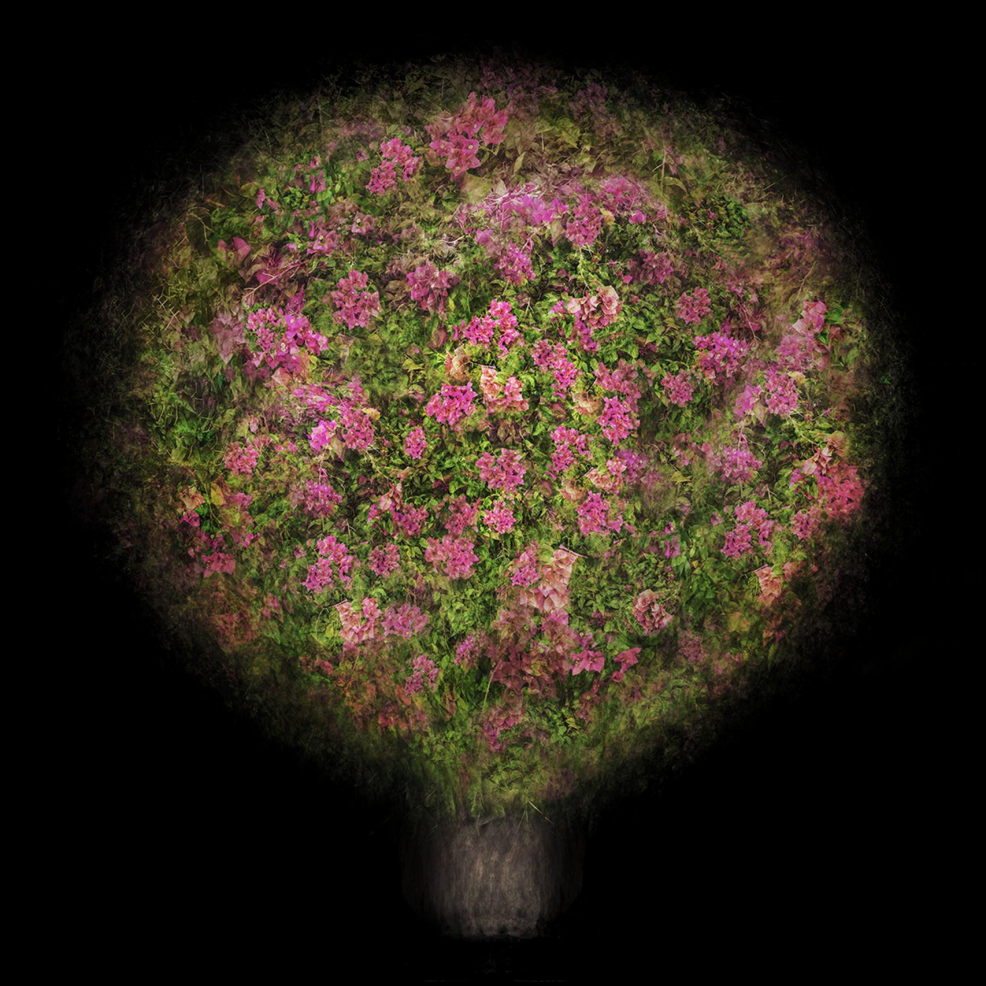 Global Photography Awards Winner - Jiao Du