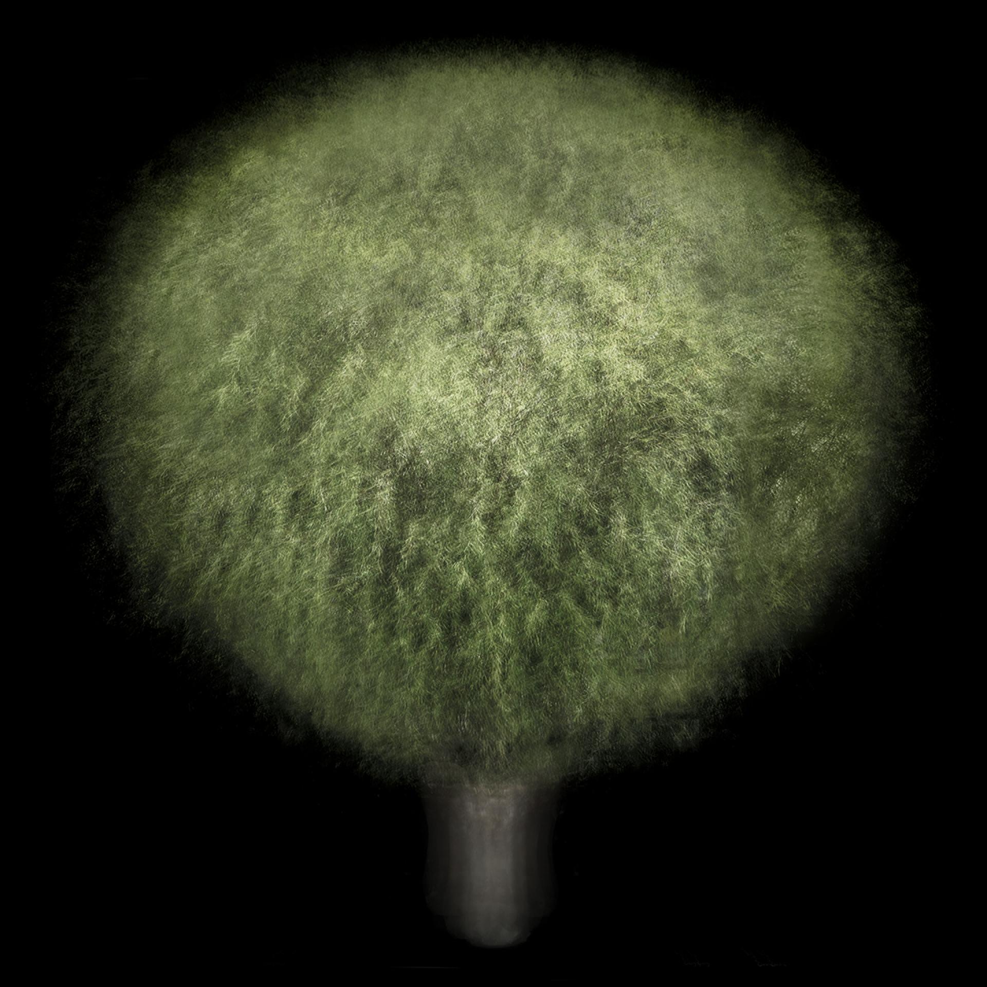 Global Photography Awards Winner - Jiao Du