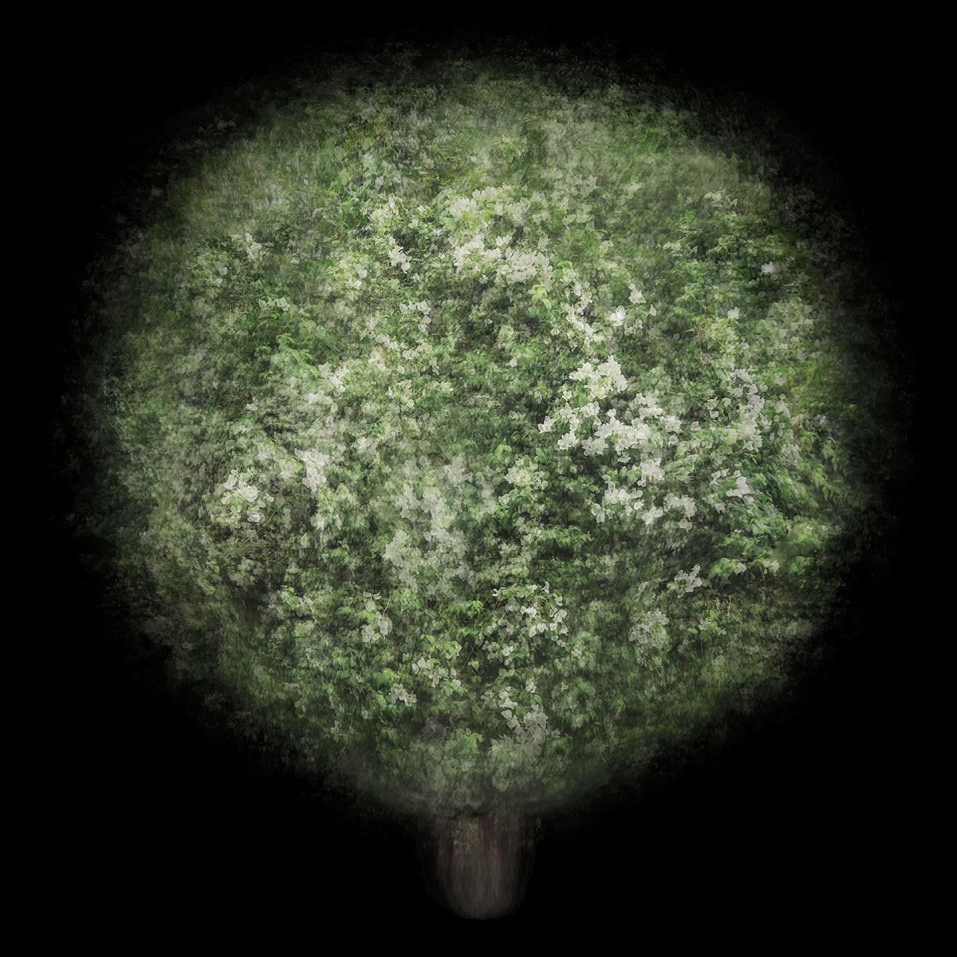 Global Photography Awards Winner - Jiao Du