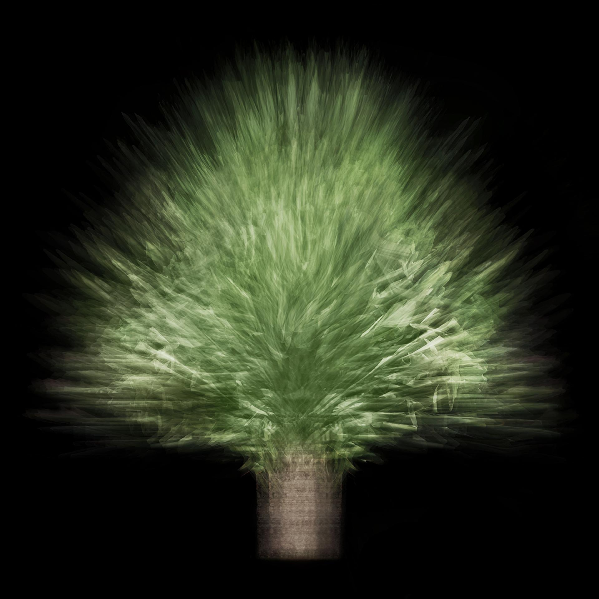 Global Photography Awards Winner - Jiao Du