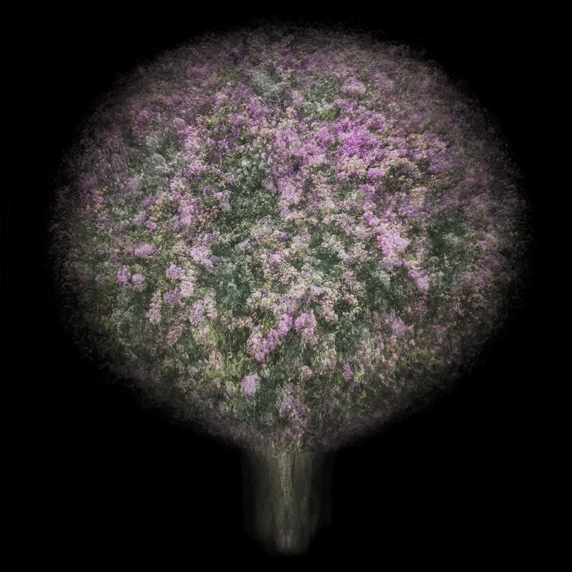 Global Photography Awards Winner - Jiao Du