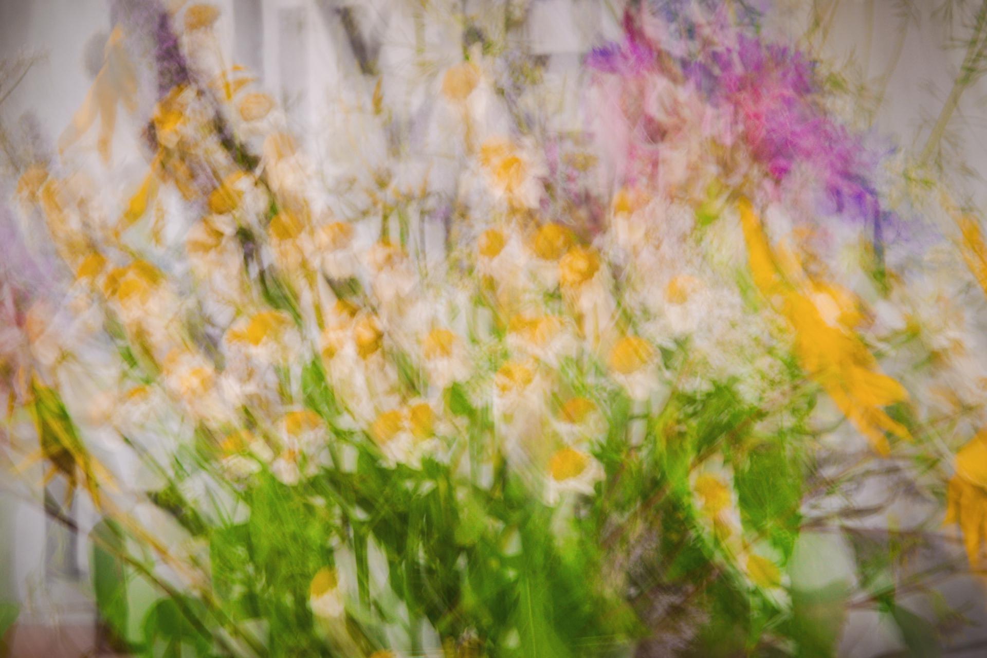 Global Photography Awards Winner - Abstract Visions