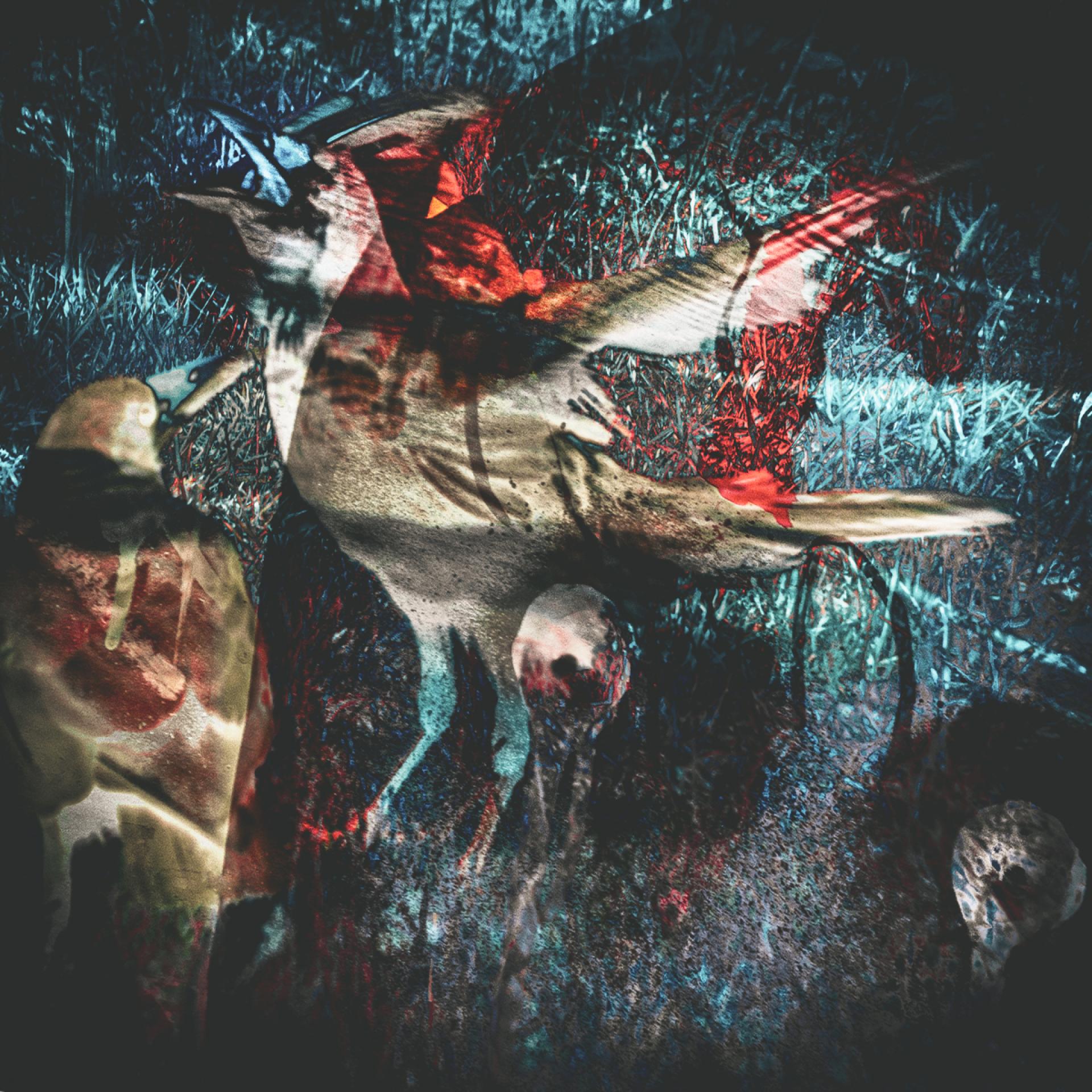 Global Photography Awards Winner - Dreams Reconstructed