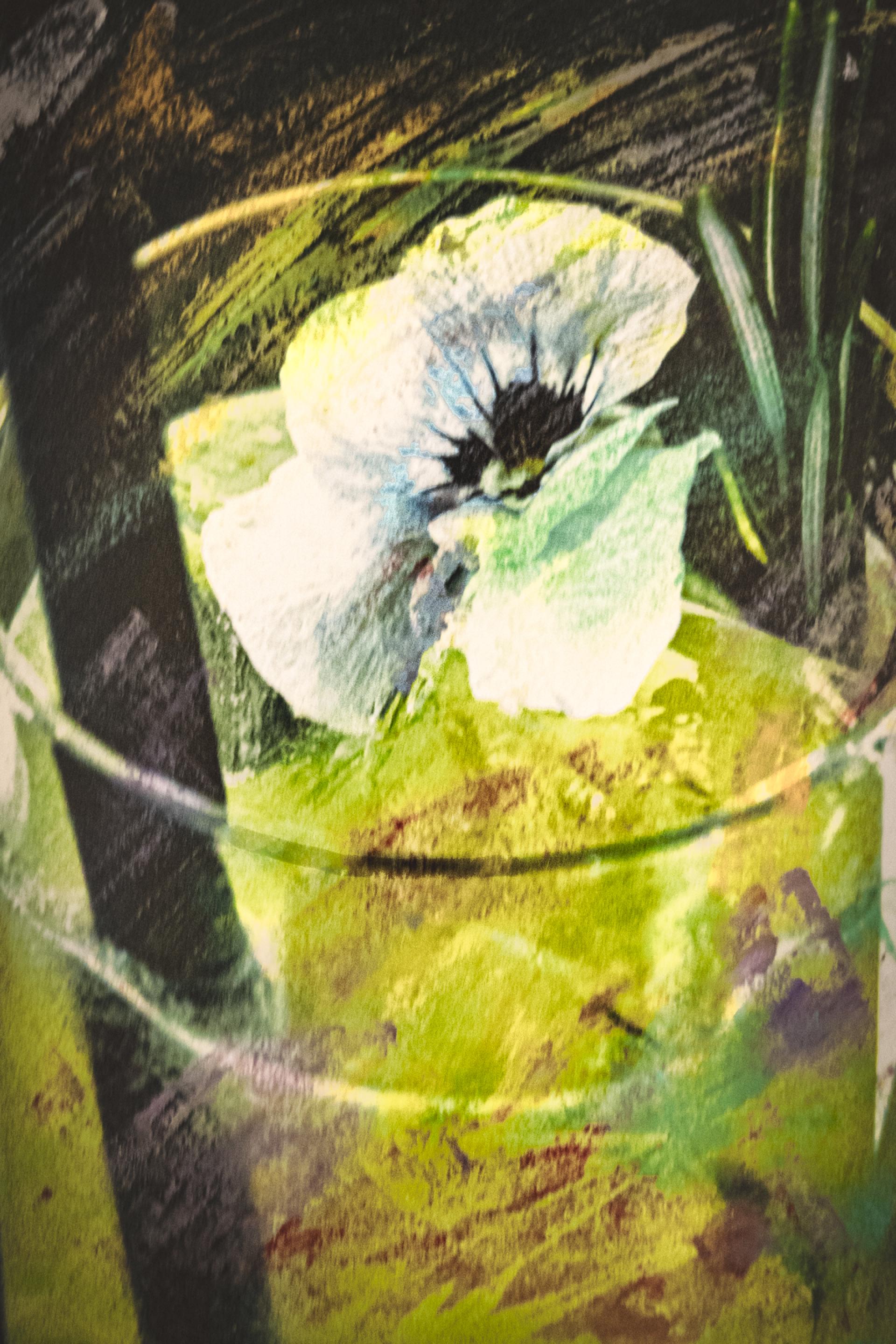 Global Photography Awards Winner - Cold Wax Photographs