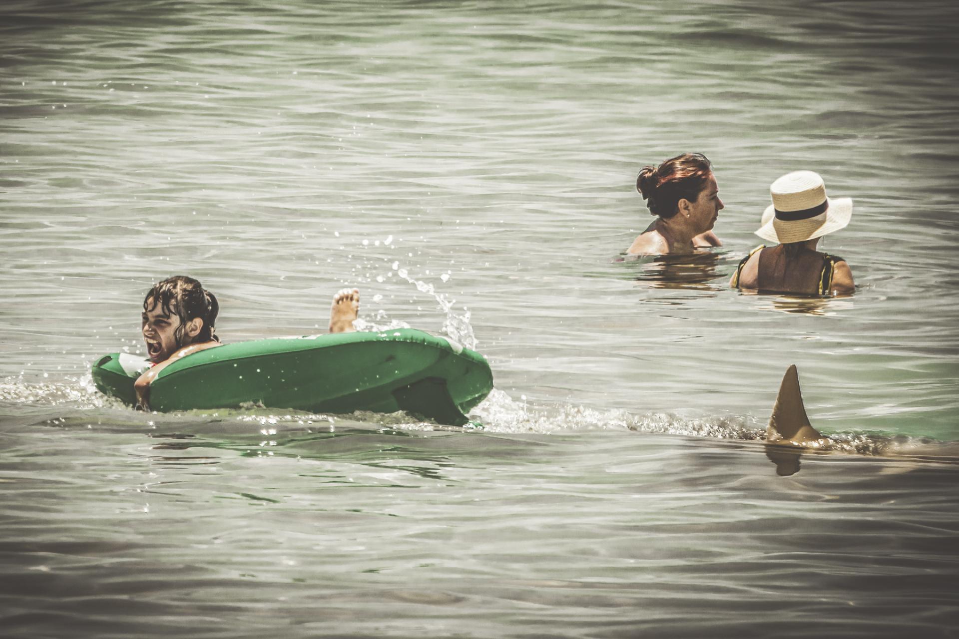 Global Photography Awards Winner - Moment of Terror