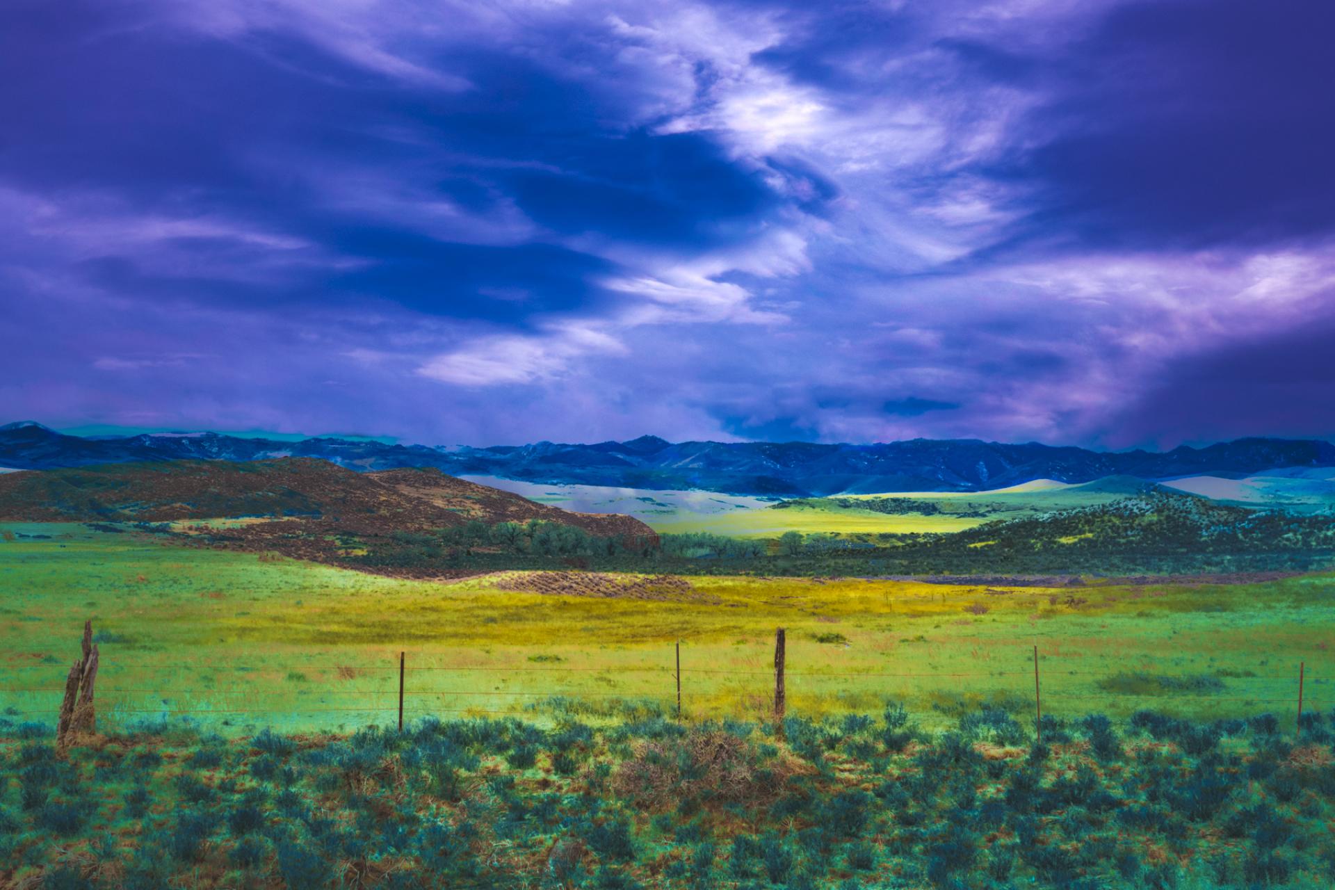 Global Photography Awards Winner - Spring Emerged