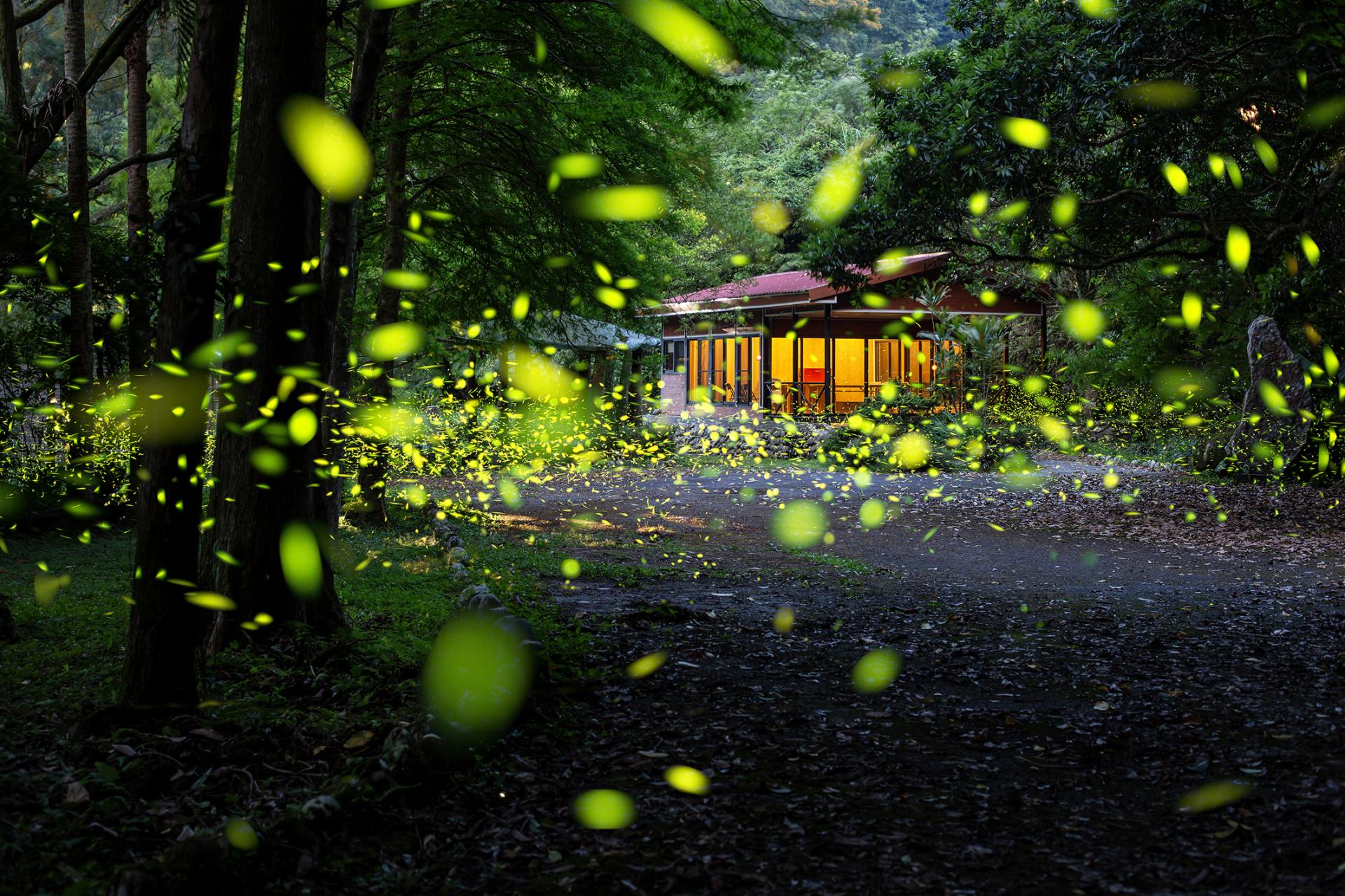 Global Photography Awards Winner - Summer Night Dance at the Retreat