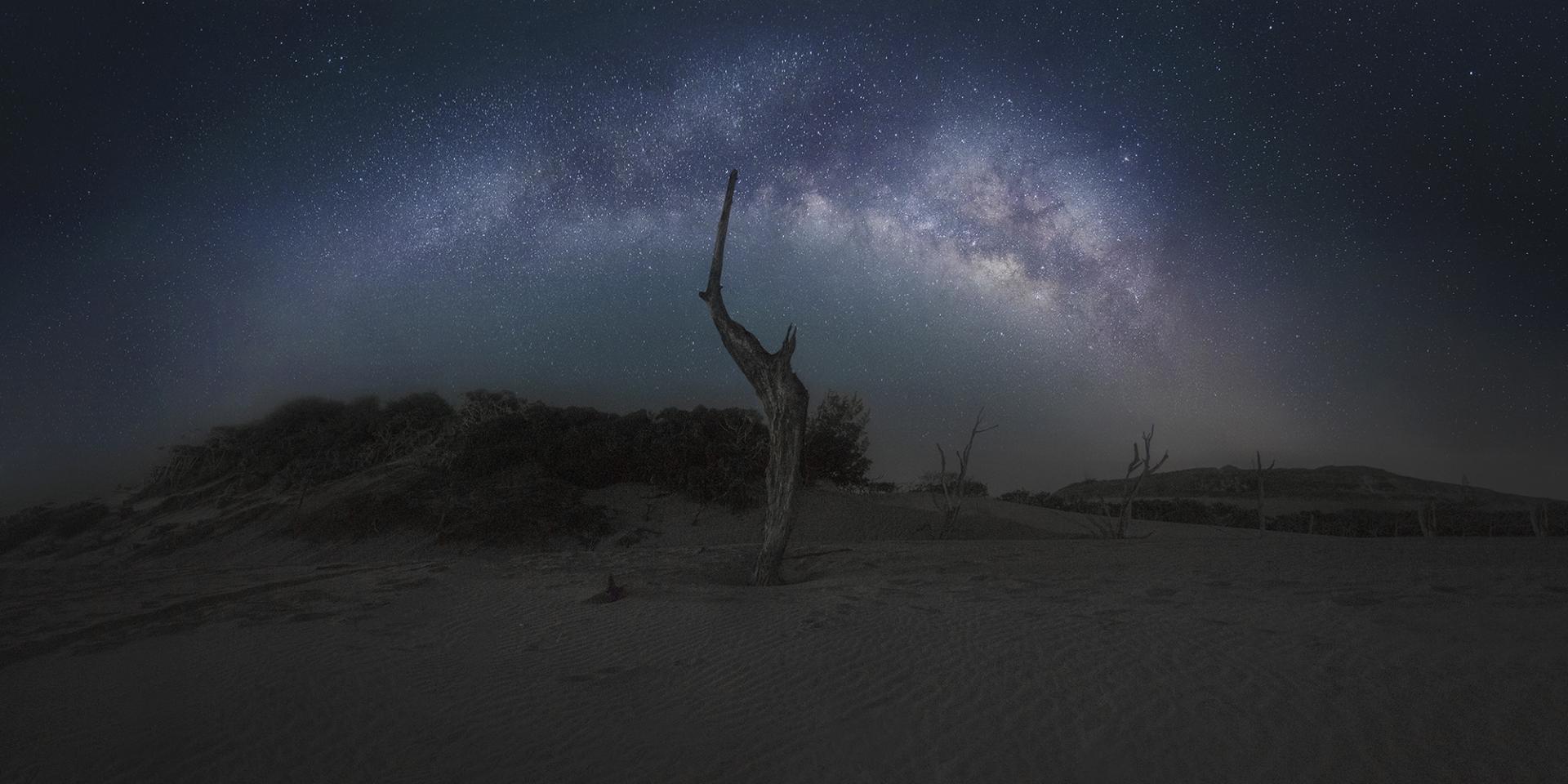 Global Photography Awards Winner - Dead tree under the starry sky